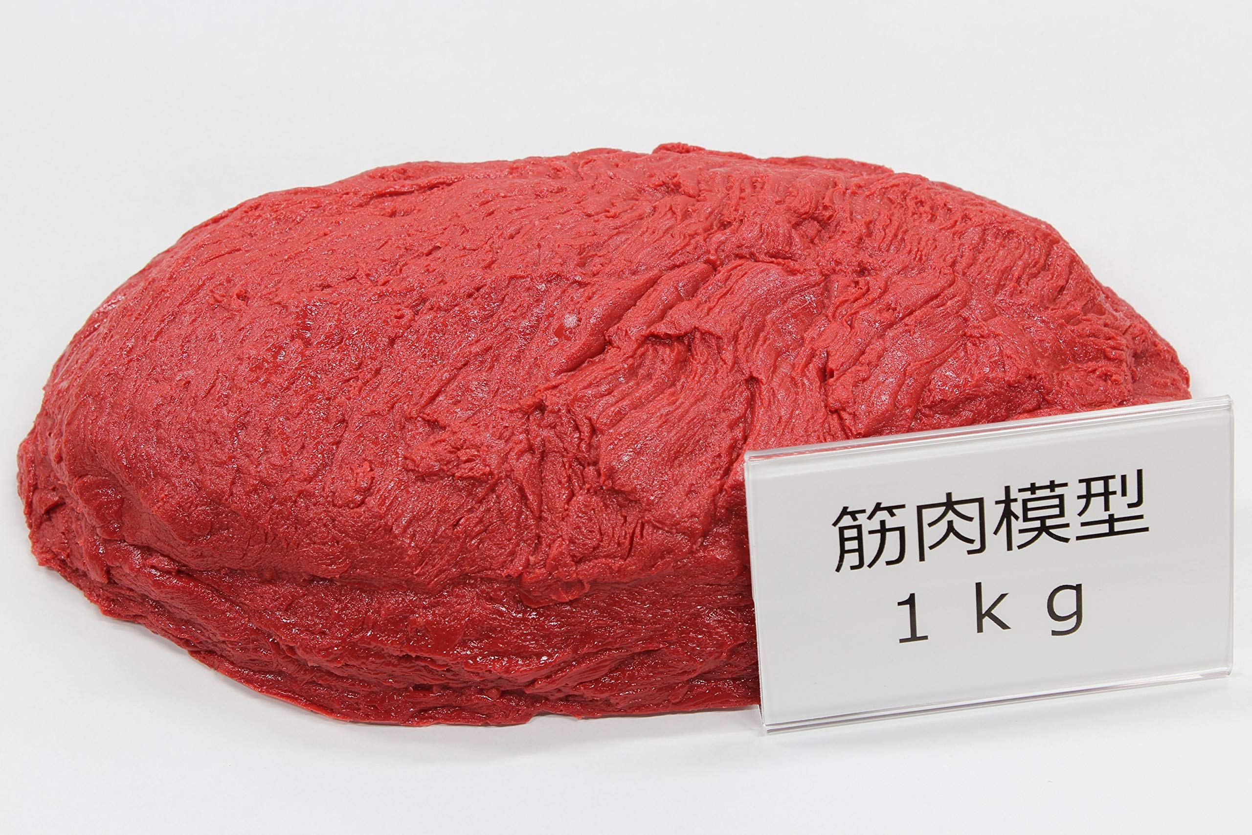 筋肉模型 脂肪模型 1kg 川崎フードモデル 筋肉模型 脂肪模型 1kg 川崎フードモデル - メルカリ