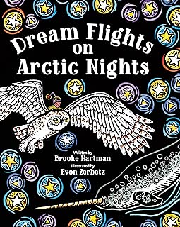 Dream Flights on Arctic Nights - coolthings.us