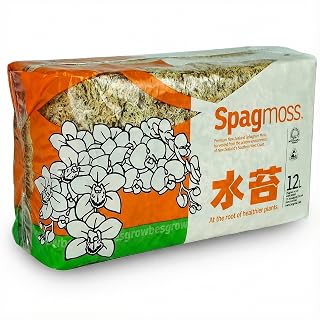 Premium New Zealand Sphagnum Moss, 150g (12L When Hydrated) Premier AAA Grade (150mm, 6" Strands) - Harvested in New Zealand's South Island, Dried and Long for Potted Plants, Orchids, Reptiles