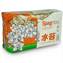 Premium New Zealand Sphagnum Moss, 150g (12L When Hydrated) Premier AAA Grade (150mm, 6" Strands) - Harvested in New Zealand's South Island, Dried and Long for Potted Plants, Orchids, Reptiles