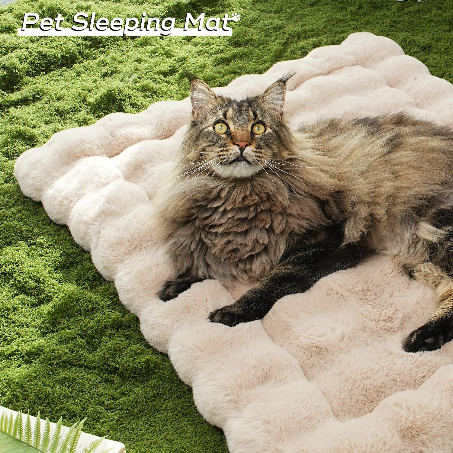 SOMAHE Plush Cat Beds for Indoor Cats Faux Fur Pet Mat with Non-Slip Bottom Cozy Kitten Bed for Carriers/Couch/Floor/Dog & Puppy Friendly 23 x 15 Inch Medium Coffee