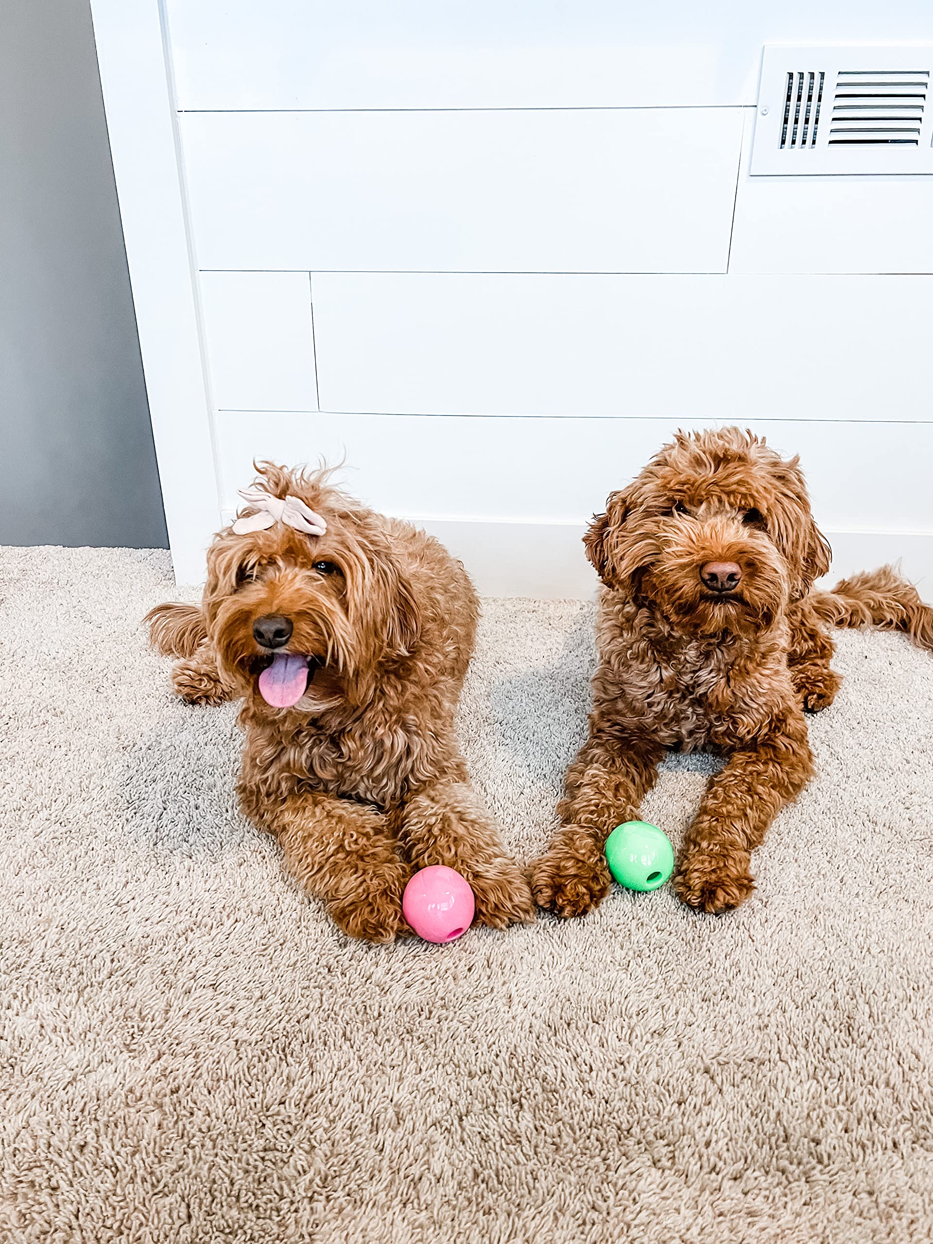 Nylabone Power Play Gum-a-Ball Spielzeug für Hunde, Einheitsgröße (2 Stück)