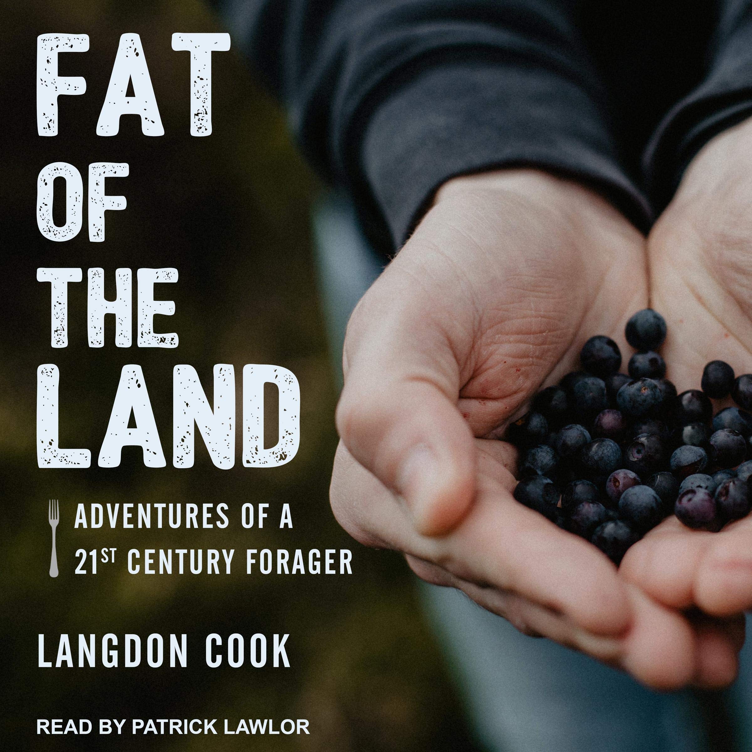 Cover art for Fat of the Land