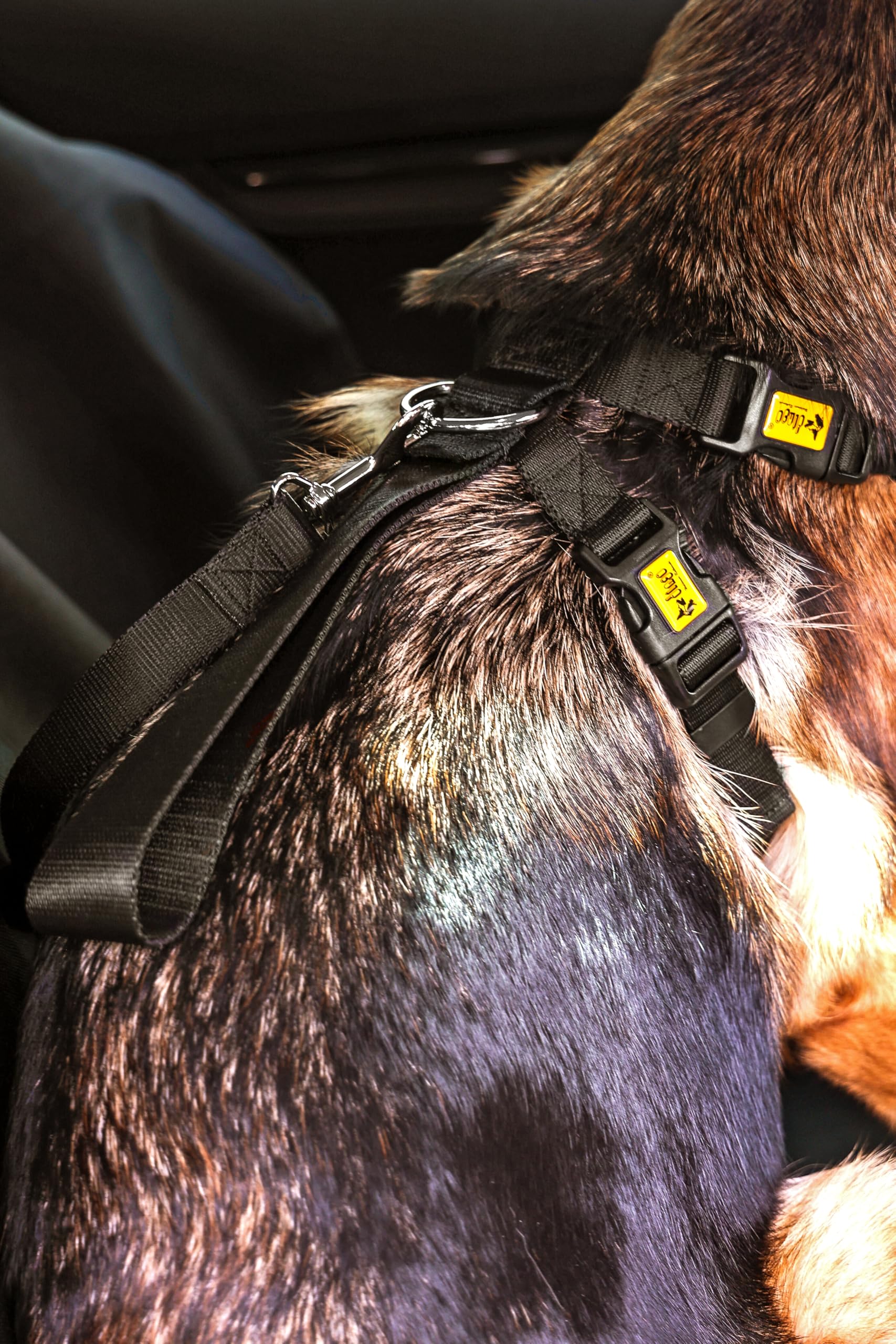 Dingo Waldemar Rutkowski Lightweight and Adjustable Dog Safety Harness for Car Travel with Chrome D-Ring on Back - Image 4
