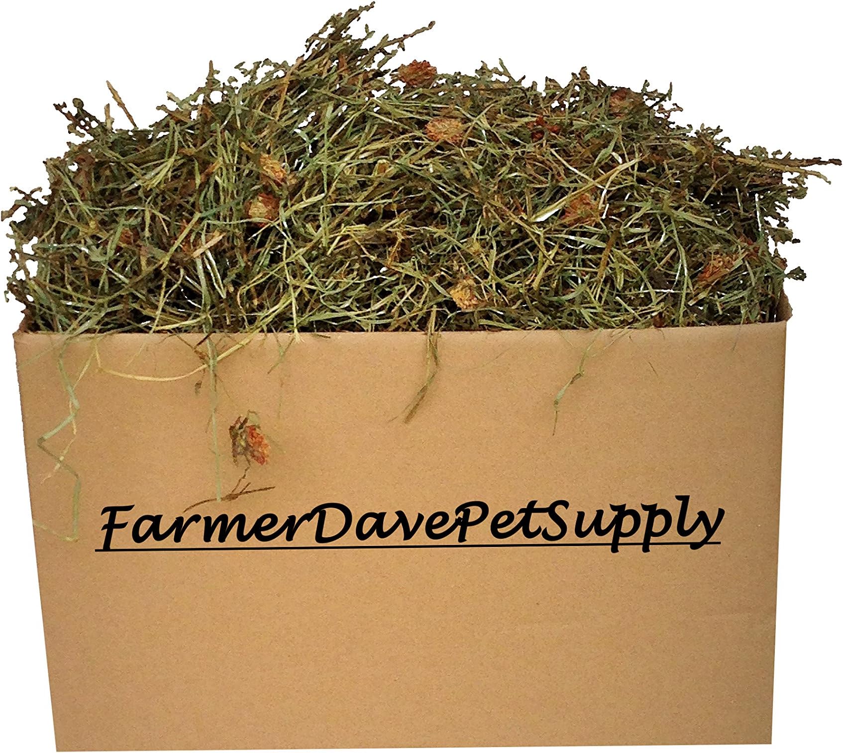 10 Lb. Premium 2nd Cut Timothy Hay with Clover, Bunny, and Small Animal Pet HAY-in-A-Box