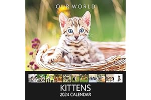 Giant Wall Calendar 2024: 365 Kittens-a-Year Picture-a-Day Wall Calendar with Daily Grid