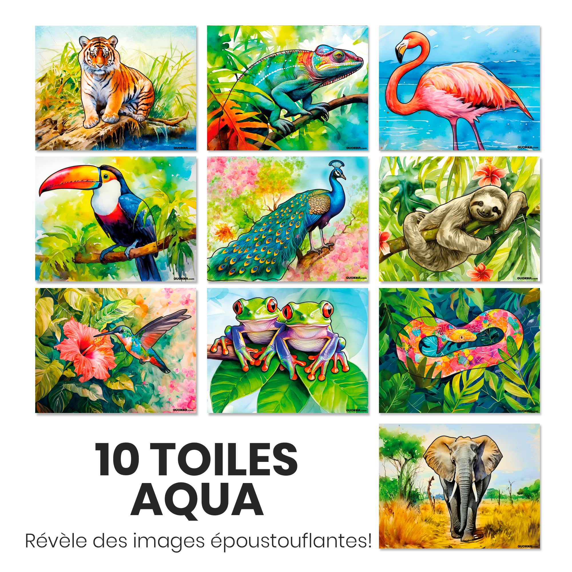 Kit de Loisirs Créatifs Personnes con Démence - Activité Manuelle Adulte | 10 Activités Peintures à l’Eau pour Alzheimer Seniors - Manuelle Adulte avec Faune des Tropiques - Jeux Cognitifs Alzheimer
