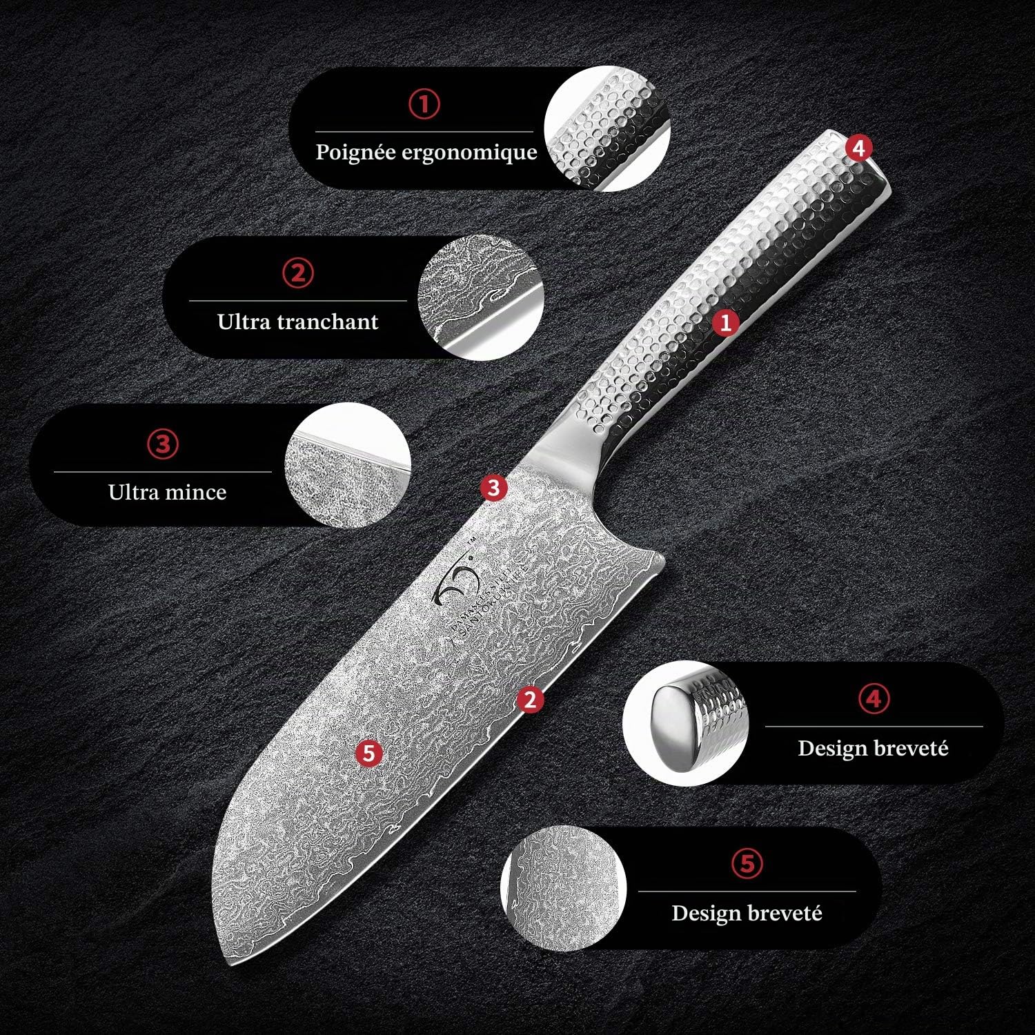 Ensemble de couteaux de cuisine Damas, 3 pièces avec couteau de chef, couteau santoku et couteau à dénuder, acier vg10, 67 couches, lame en acier Damas Premium, manche de marteau tranchant Damas
