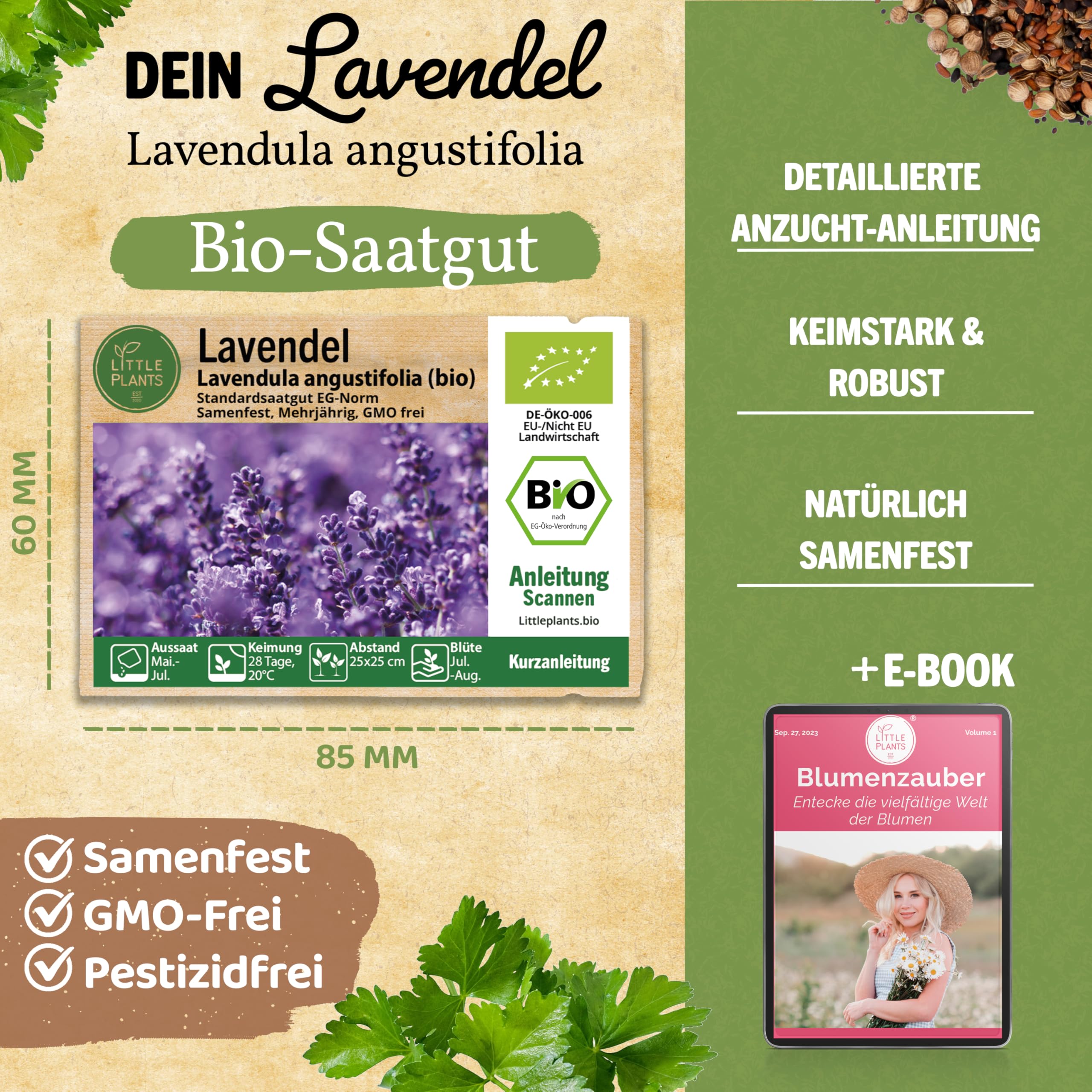 Lavendel Samen Winterhart : Lavendelsamen Für Ca.  Produktbild-Vorschau 9