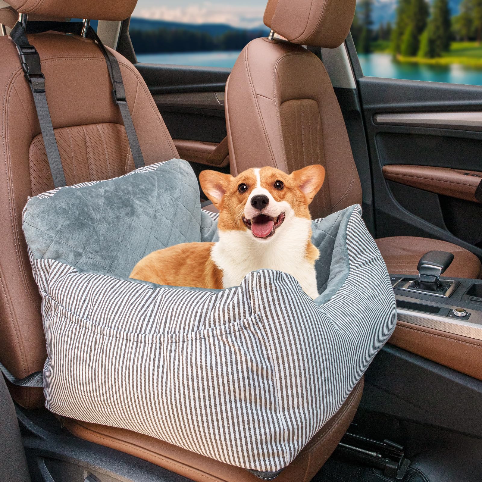 Car Seats for Dogs, Removable and Washable Safety Dog Booster Car Seat, Anti Slip and Sturdy Dog Car Seats, Portable Dog Car Travel Carrier Bed for Under 30 lbs, Grey