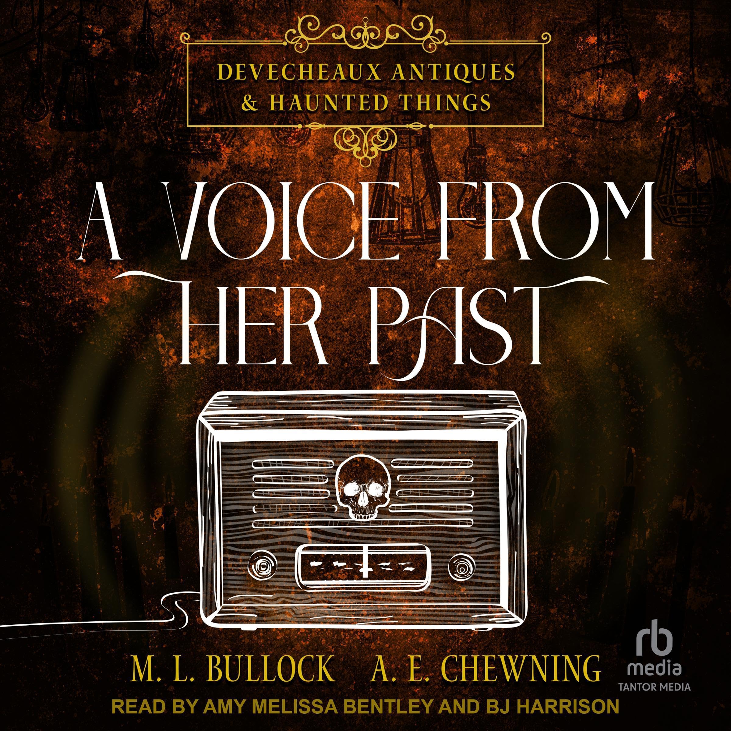 Cover art for A Voice from Her Past