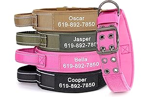 Tactical Dog Collar Personalized with Heavy Duty Design