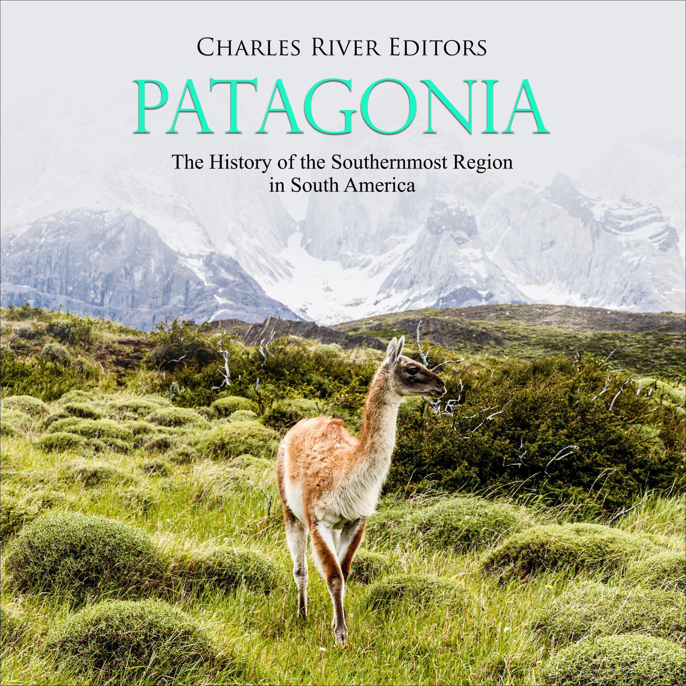 Patagonia