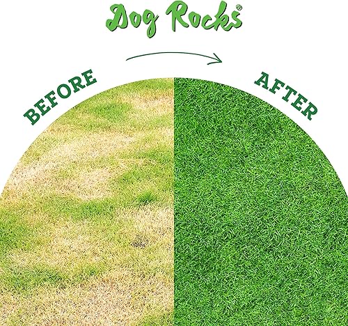 Miniatura 6 de Rocas para perros para prevenir marcas de quemaduras del césped en un suministro de 2meses