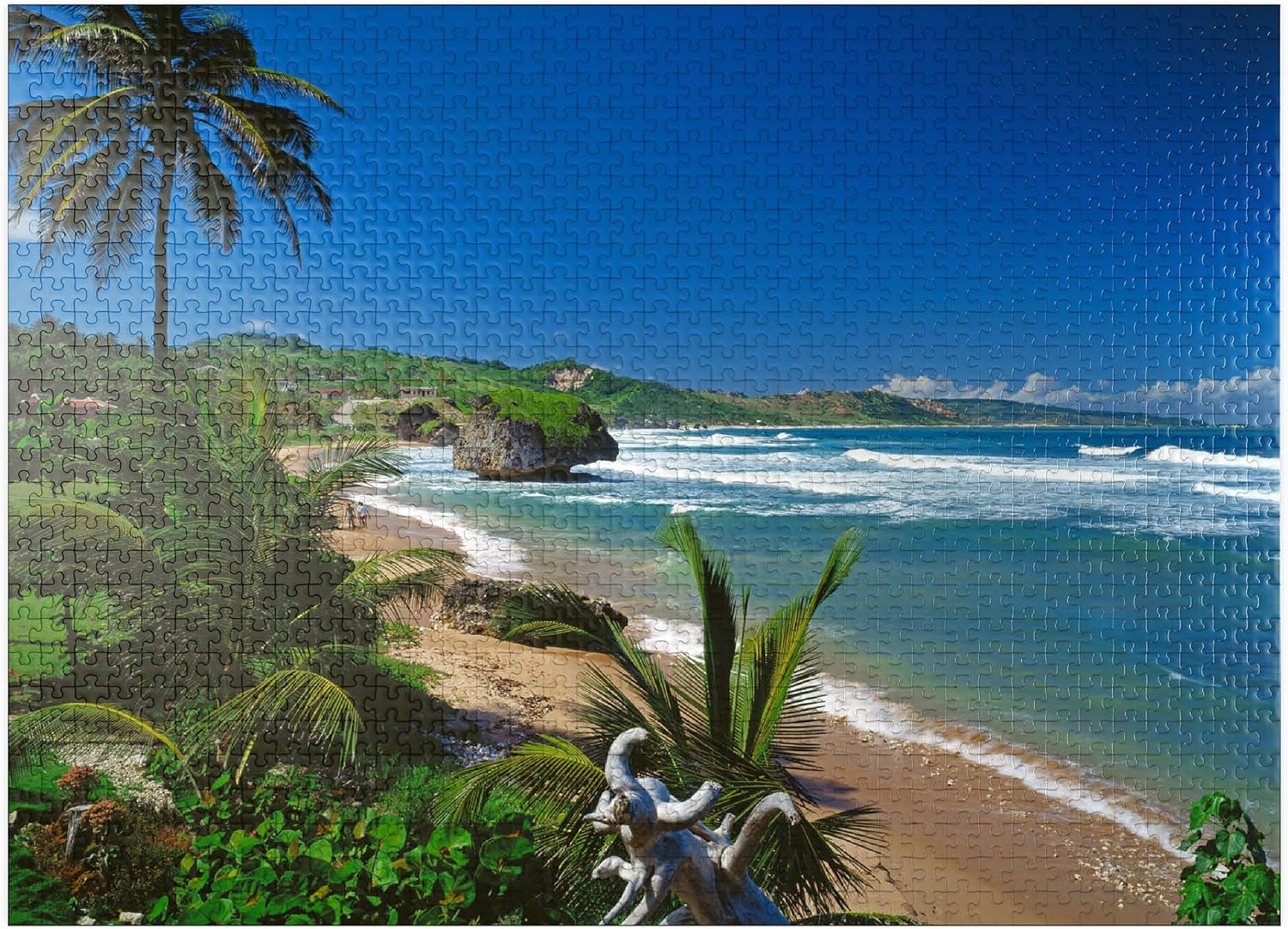 MyPuzzle East Coast Near Bathseba, Barbados, Leeward Islands, Caribbean Sea - Premium 1000 Piece Jigsaw Puzzle for Adults
