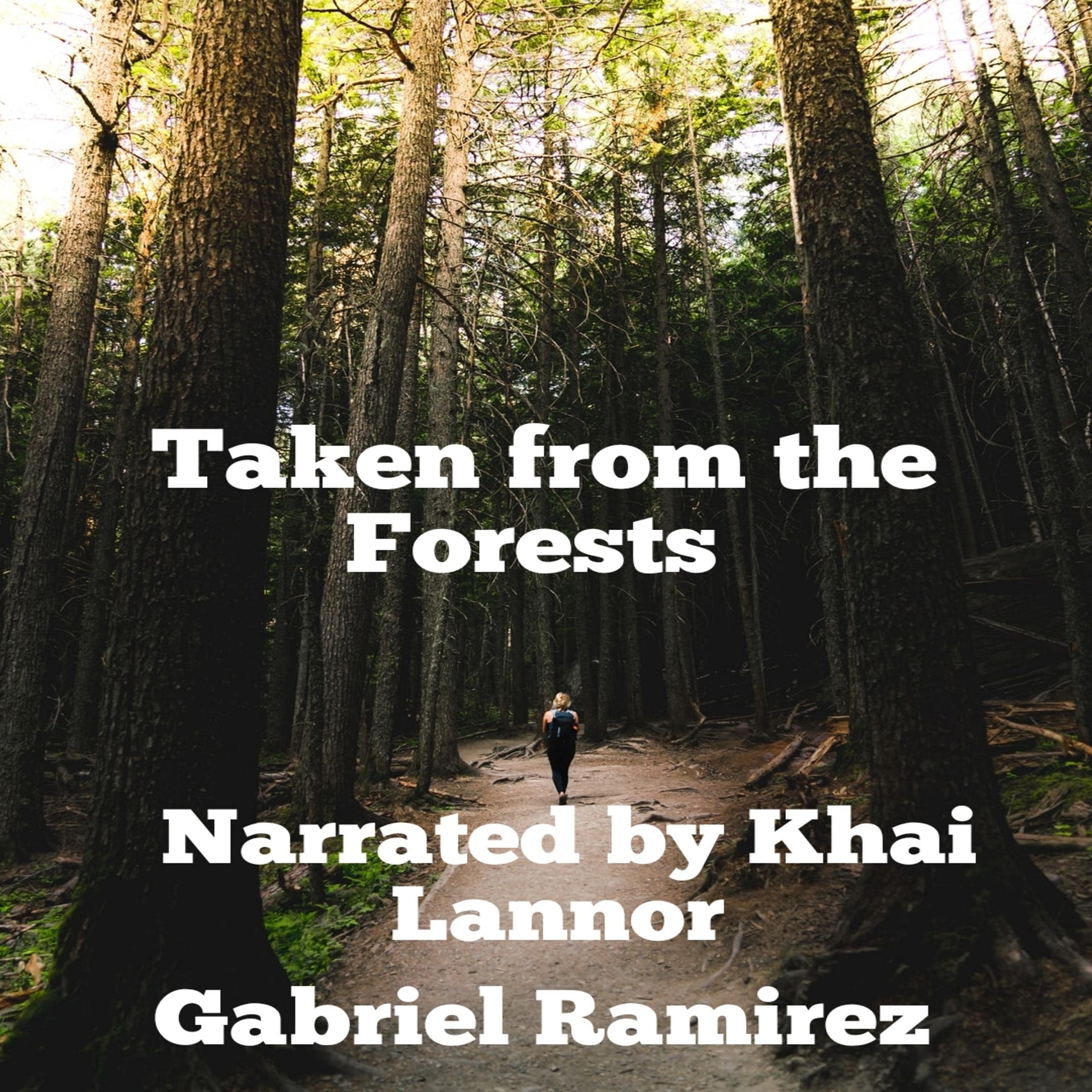 Taken from the Forest