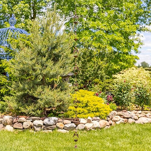 Miniatura 6 de Zaer Ltd. Cadenas colgantes de lluvia ornamentadas (acabado de bronce, ángeles)