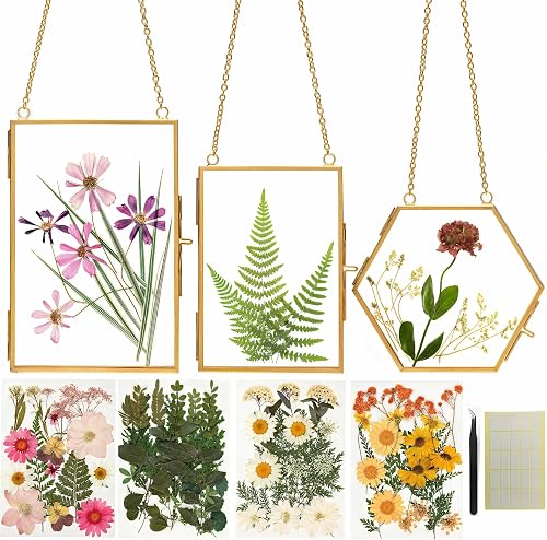 RlexingGarden DIY Pressed Flower Craft Kit for Creative Keepsakes