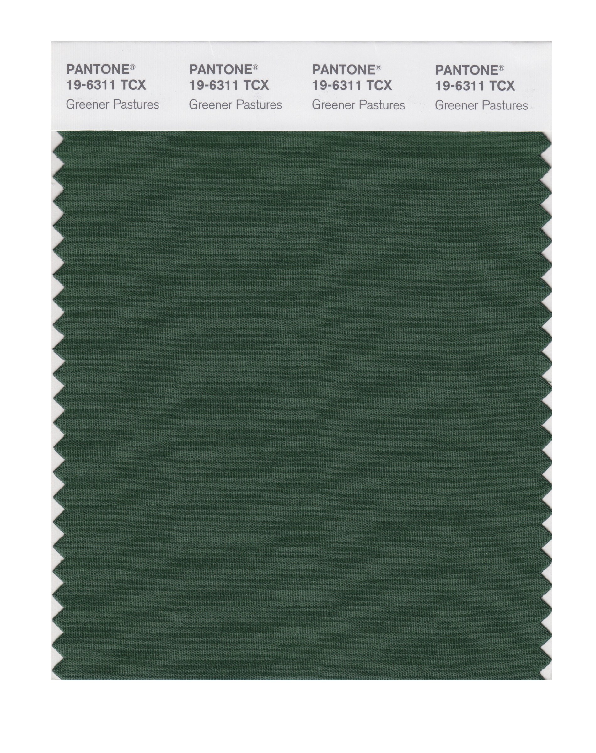 PANTONE Smart 19-6311X Color Swatch Card, Greener Pastures - House
