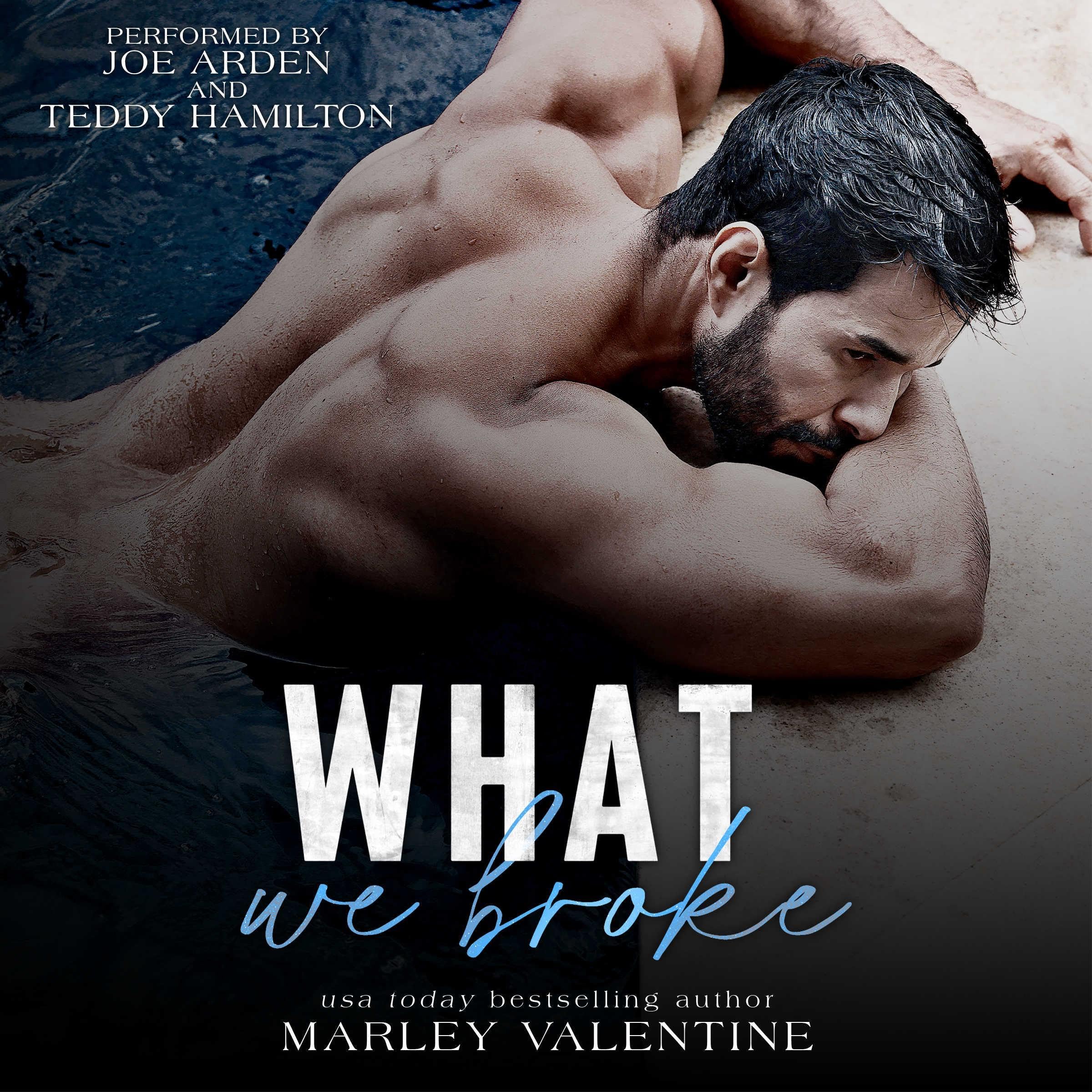 Cover art for What We Broke