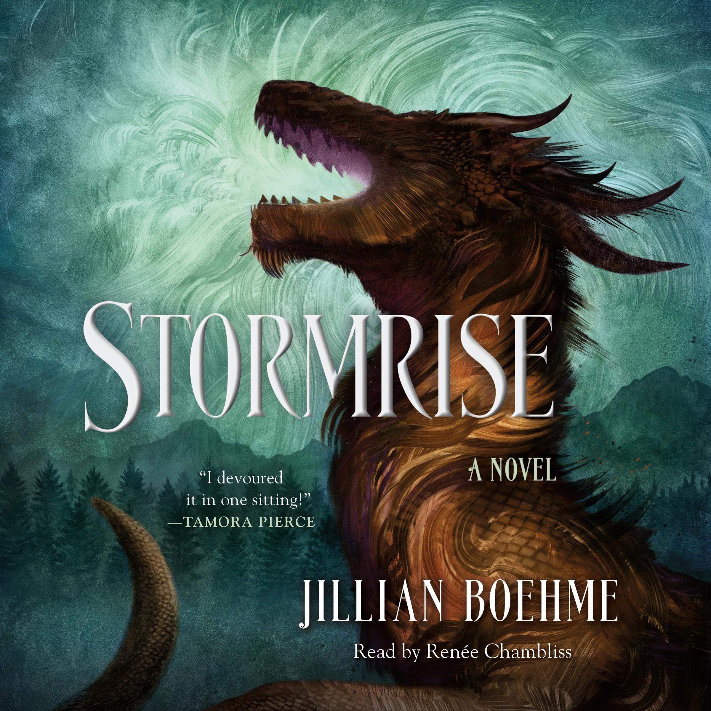 Cover art for Stormrise