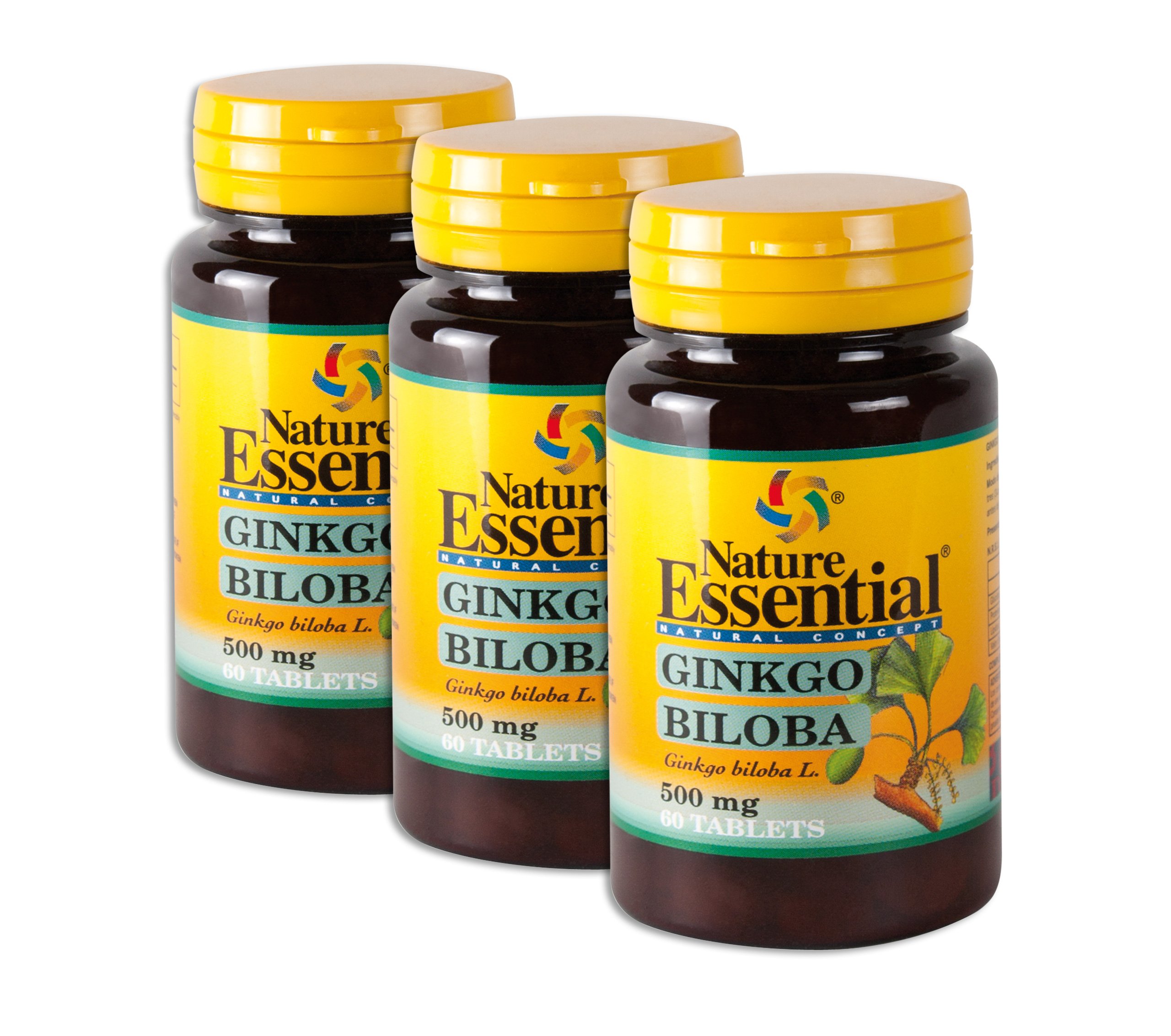 Ginkgo Biloba - 500mg Ginkgo Extrakt und Ginkgo Pulver - Das günstigste hochdosierte Premium Ginkgo auf dem Markt (insg. 180 Tabletten = 3 Monats-Pack)