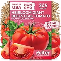 Vista 36 de KVITER 75 semillas de cucamelón para plantar (Melothria Scabra) – Semillas de pepinillo agrio mexicano, pepino de pepinillo, mini sandía mexicana
