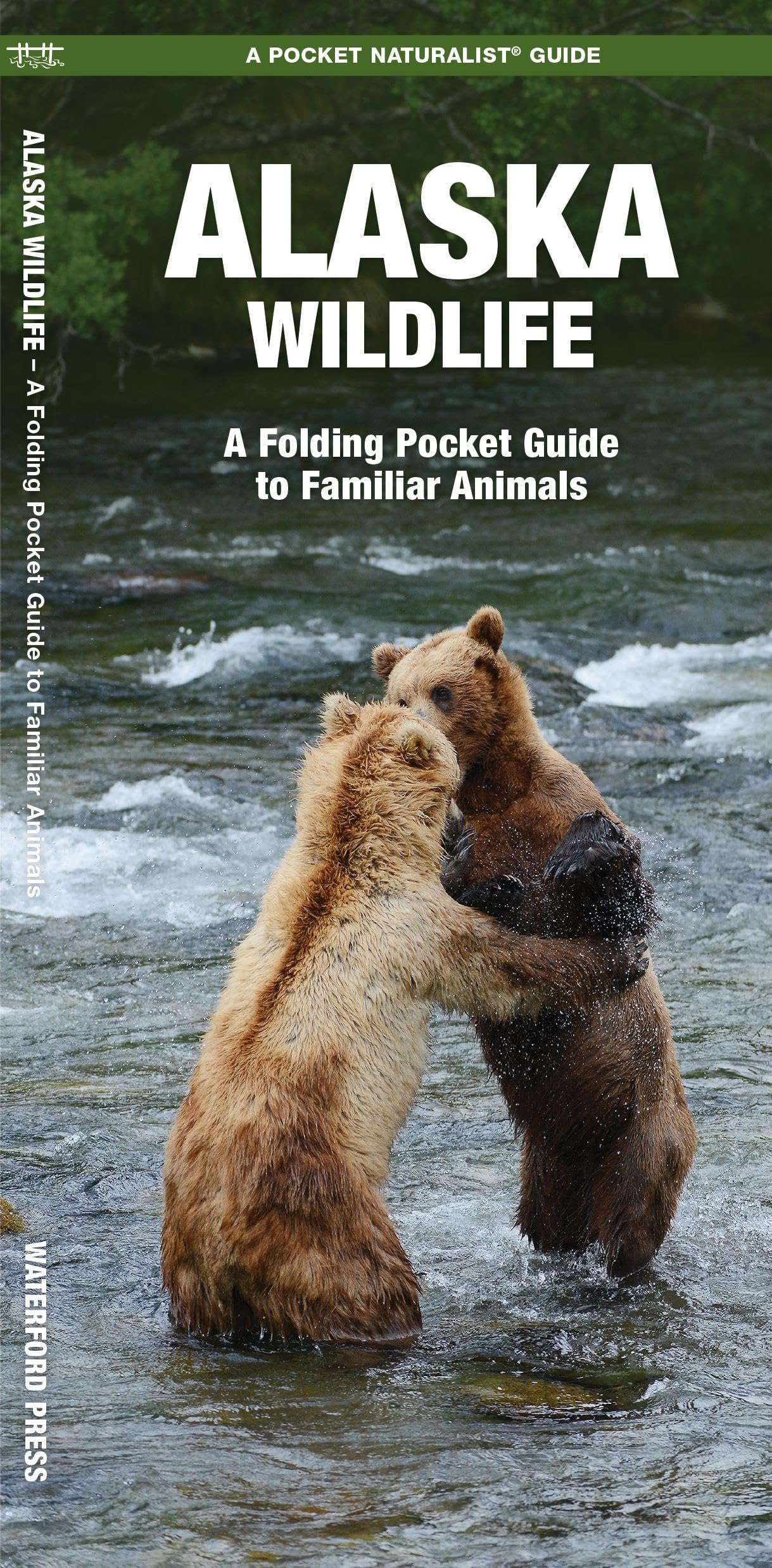 Alaska Wildlife (Nature Observation North America)