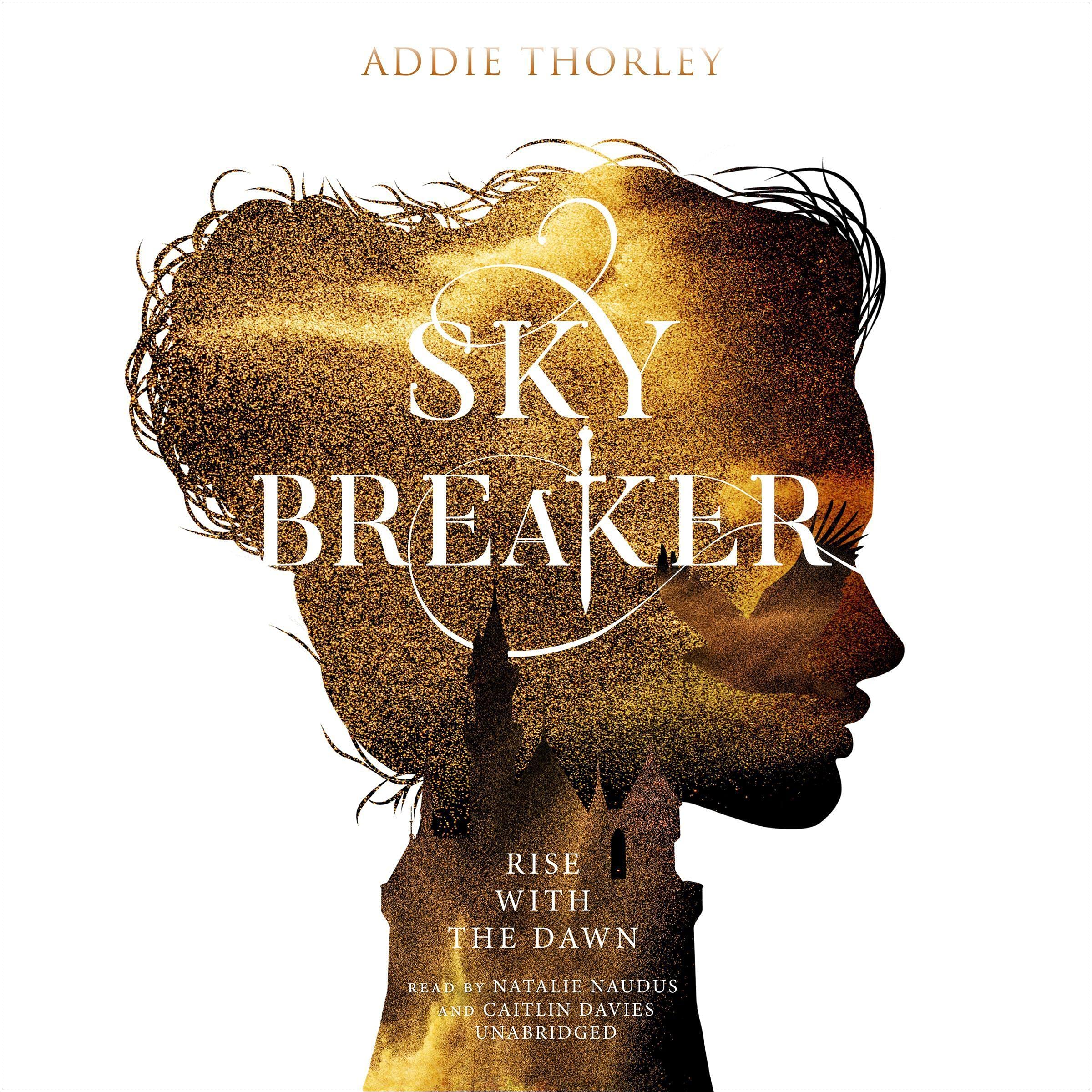 Cover art for Sky Breaker