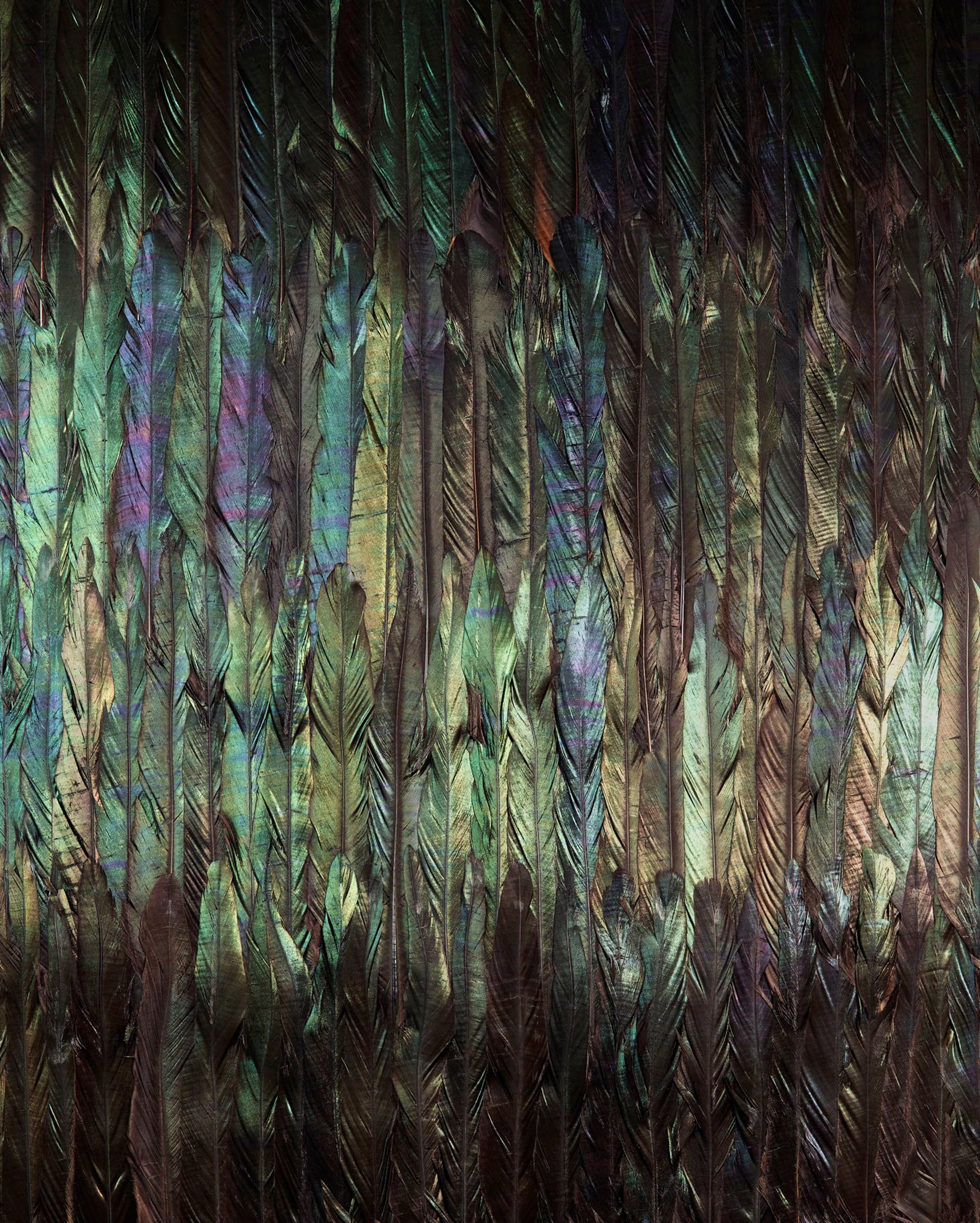 Komar Non-Woven Photo Wallpaper Dark Wings Size 200 x 250 cm Width 50 cm