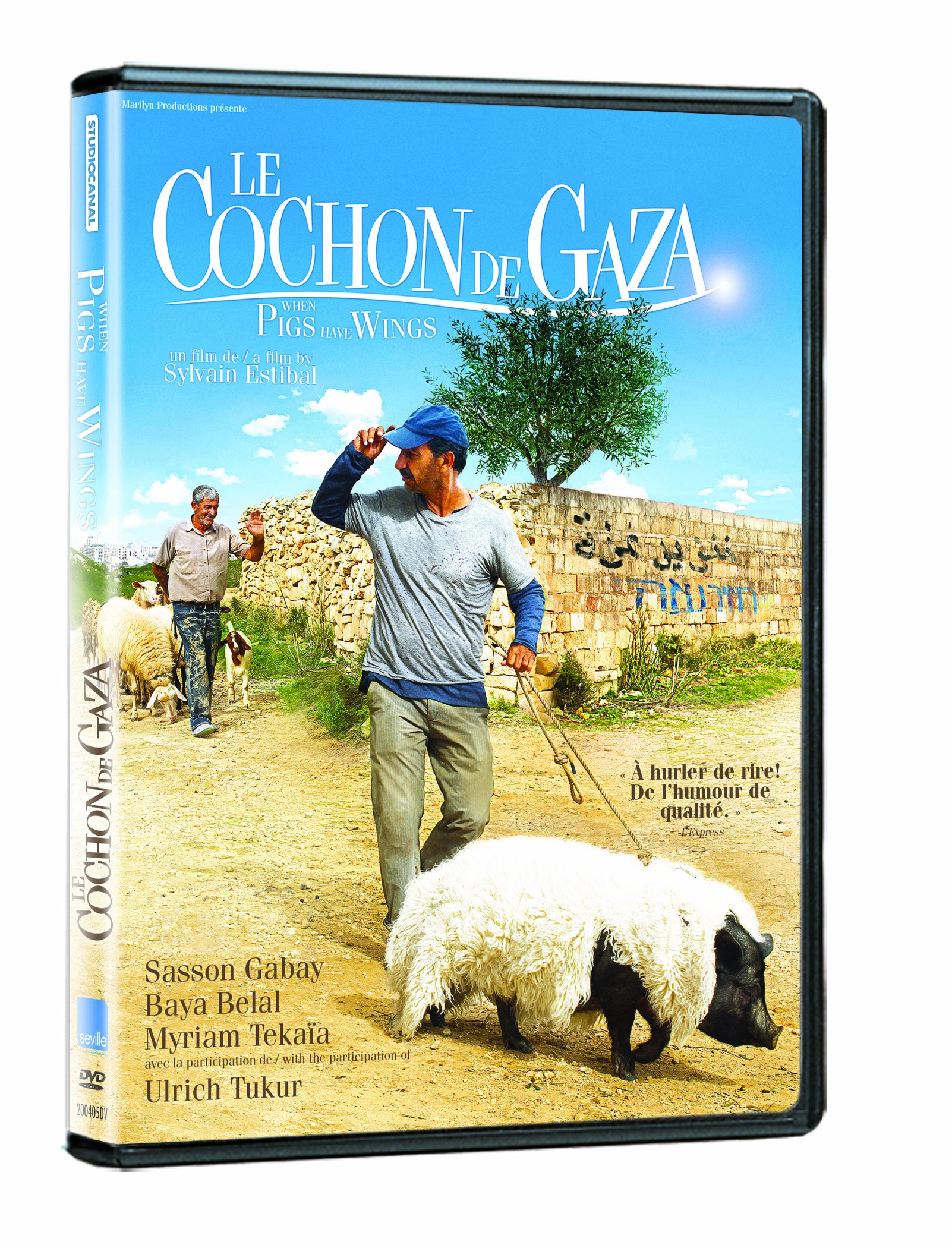 When Pigs Have Wings / Le Cochon De Gaza [DVD]