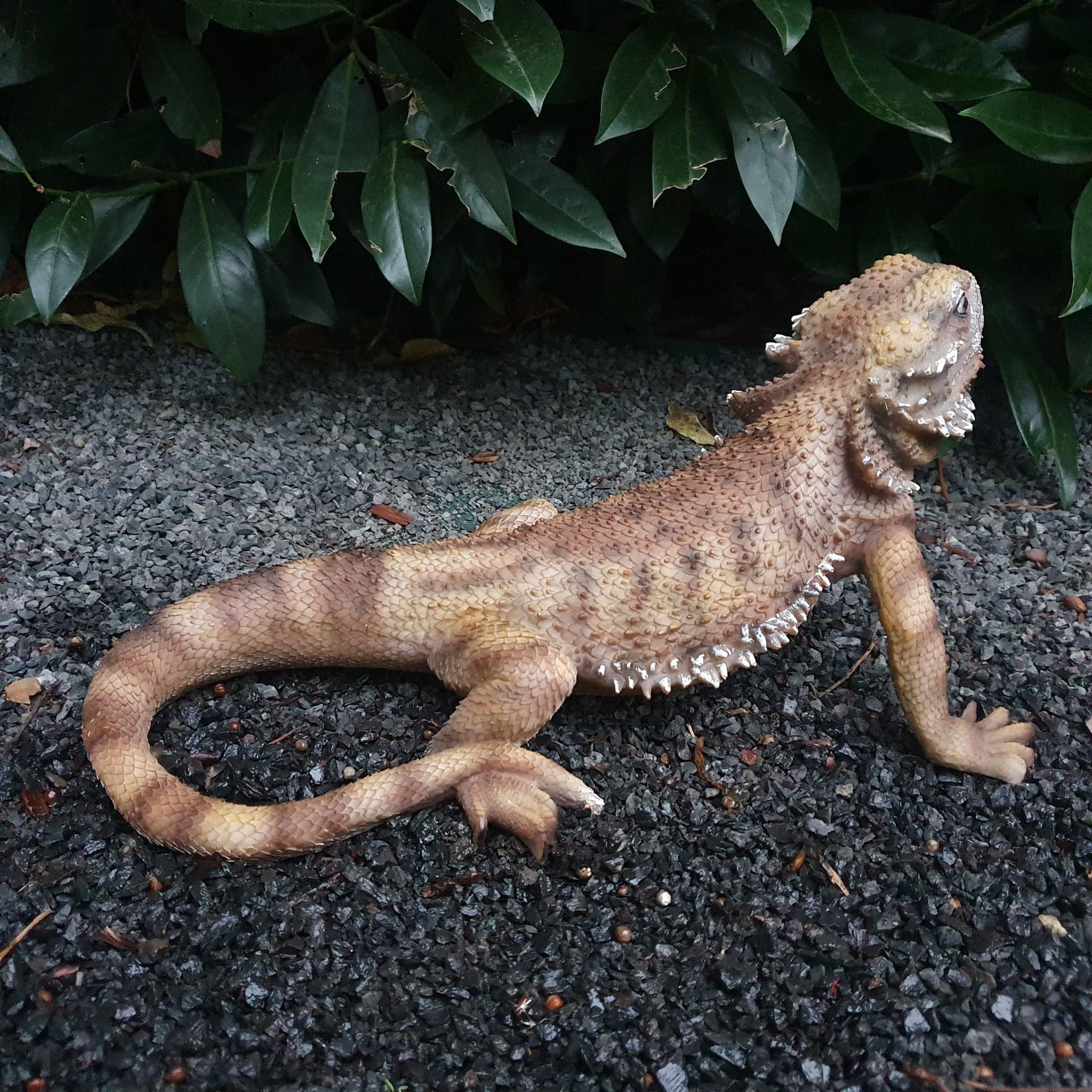 Gartenfigur Bartagame 34 cm braun bodennah – wetterfeste Reptilfigur flachliegend, Echse Statue Garten Deko