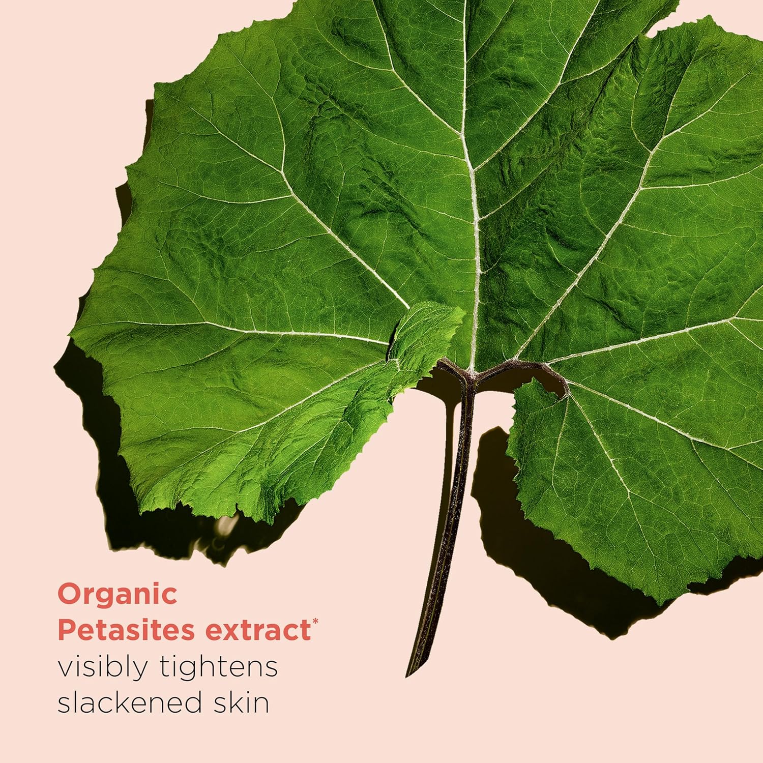 Clarins Extra-Firming Body Cream | Anti-Aging Body Lotion | Visibly Firms, Tightens and Smoothes | 96% Natural Ingredients, Including Organic Shea Butter and Organic Aloe Vera Extract | 6.6 Ounces - Image 4