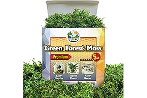 Mosser Lee ML0560: Vibrant Spanish Moss for Creative Projects