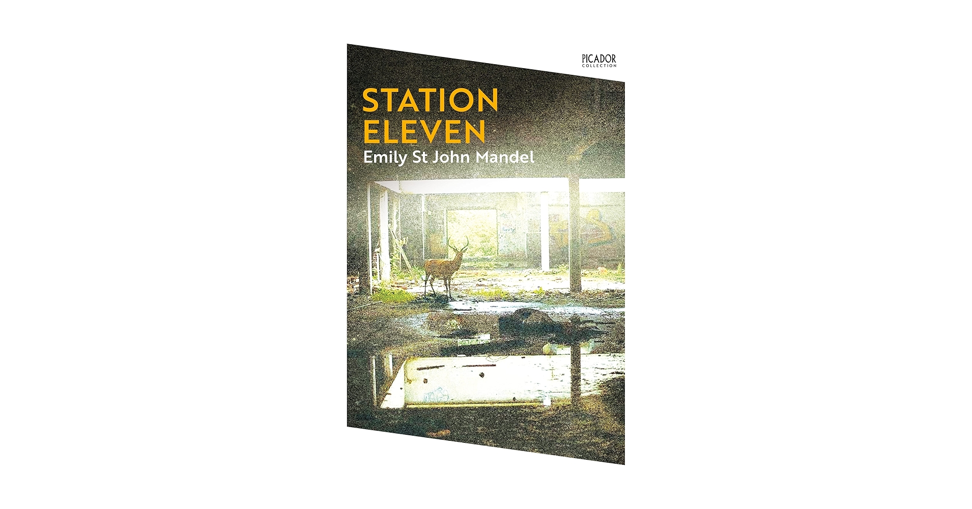 Amazon.com: Station Eleven: Emily St. John Mandel (Picador