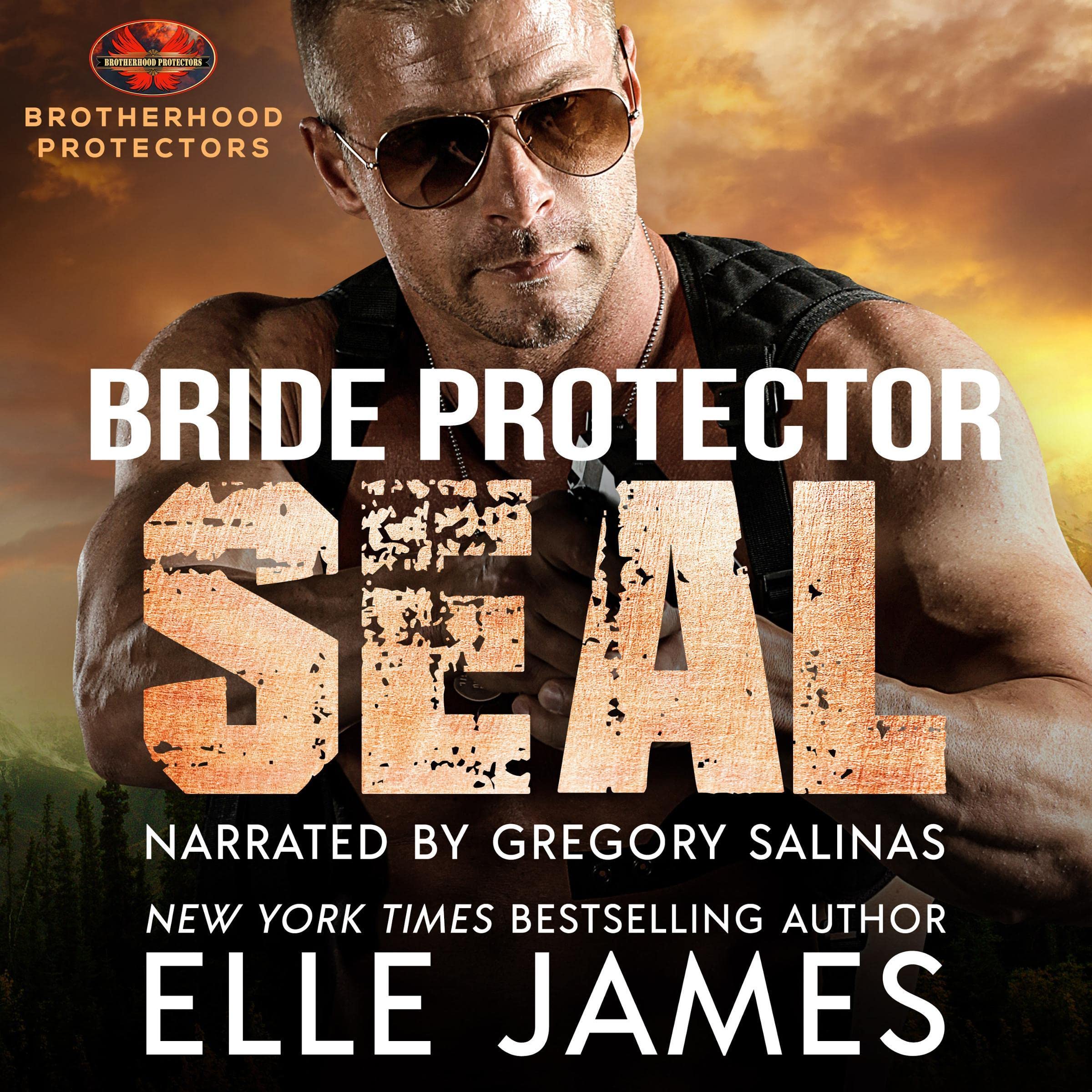 Cover art for Bride Protector SEAL