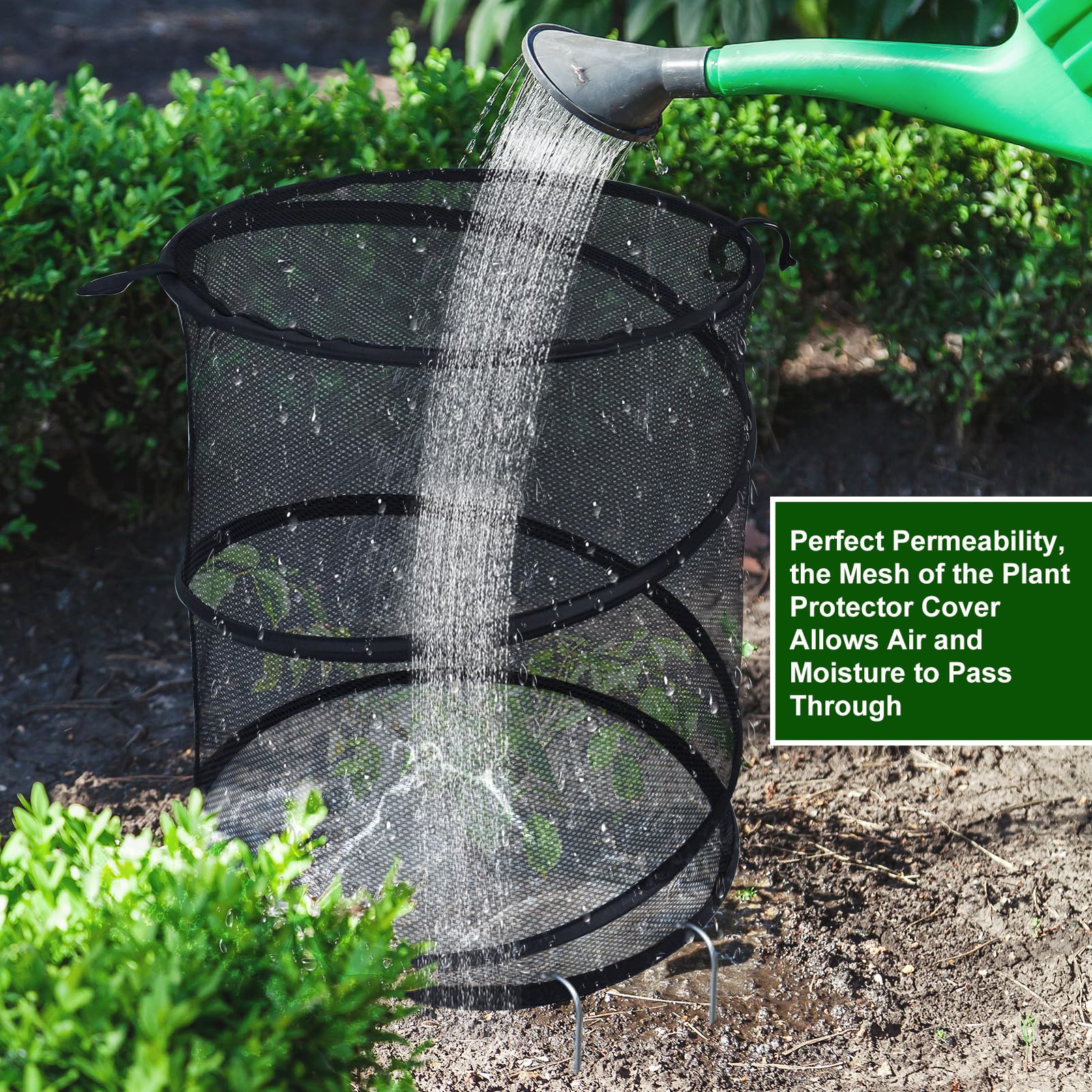 Lot de 4 cloches de jardin pop-up pour plantes, 50,8 x 33 cm (H x P) - Cloches de protection pour plantes d'extérieur - Cloche de protection pour plantes d'extérieur - Cloche de poulet noire -