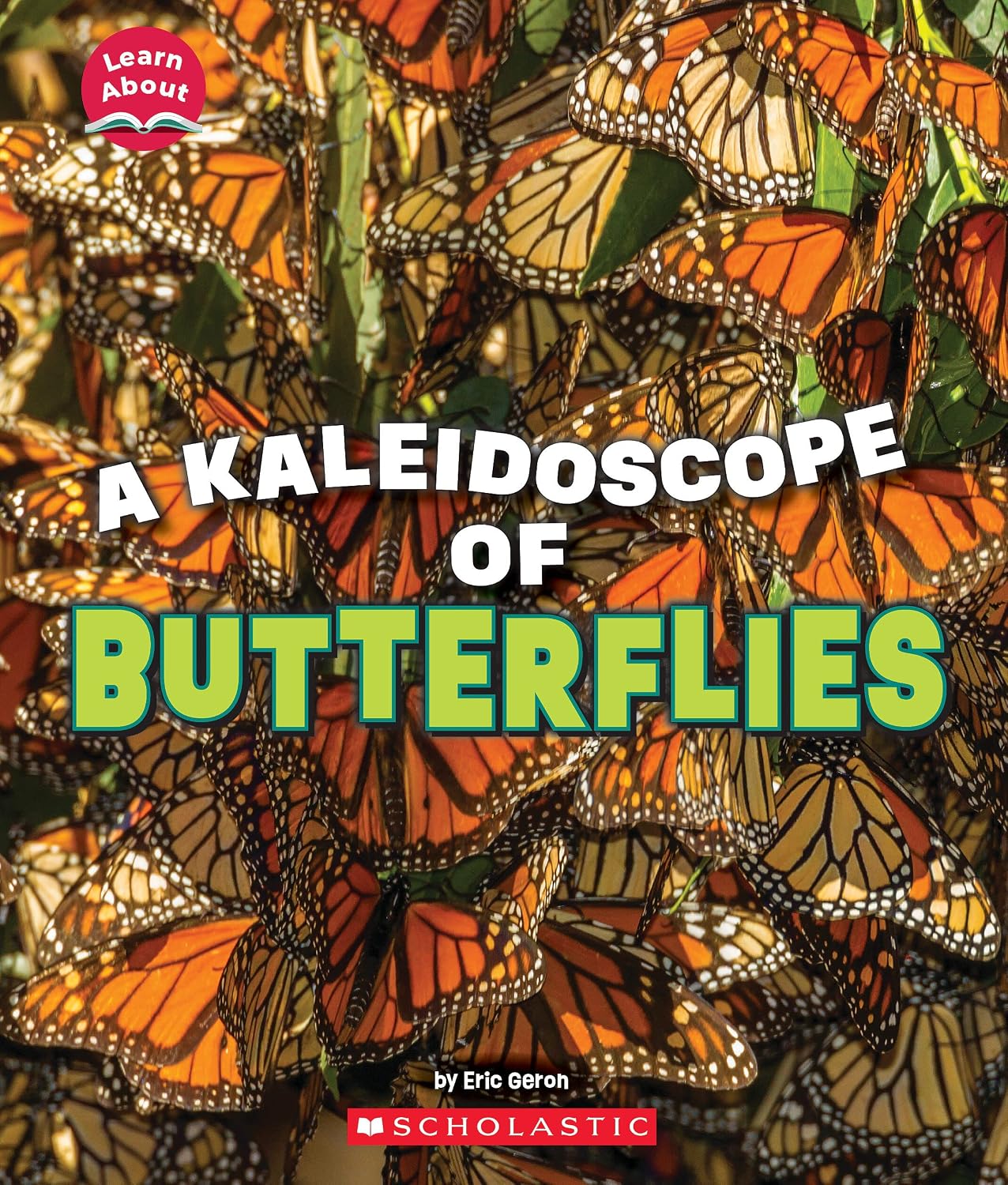 A Kaleidoscope of Butterflies (Learn About Animals