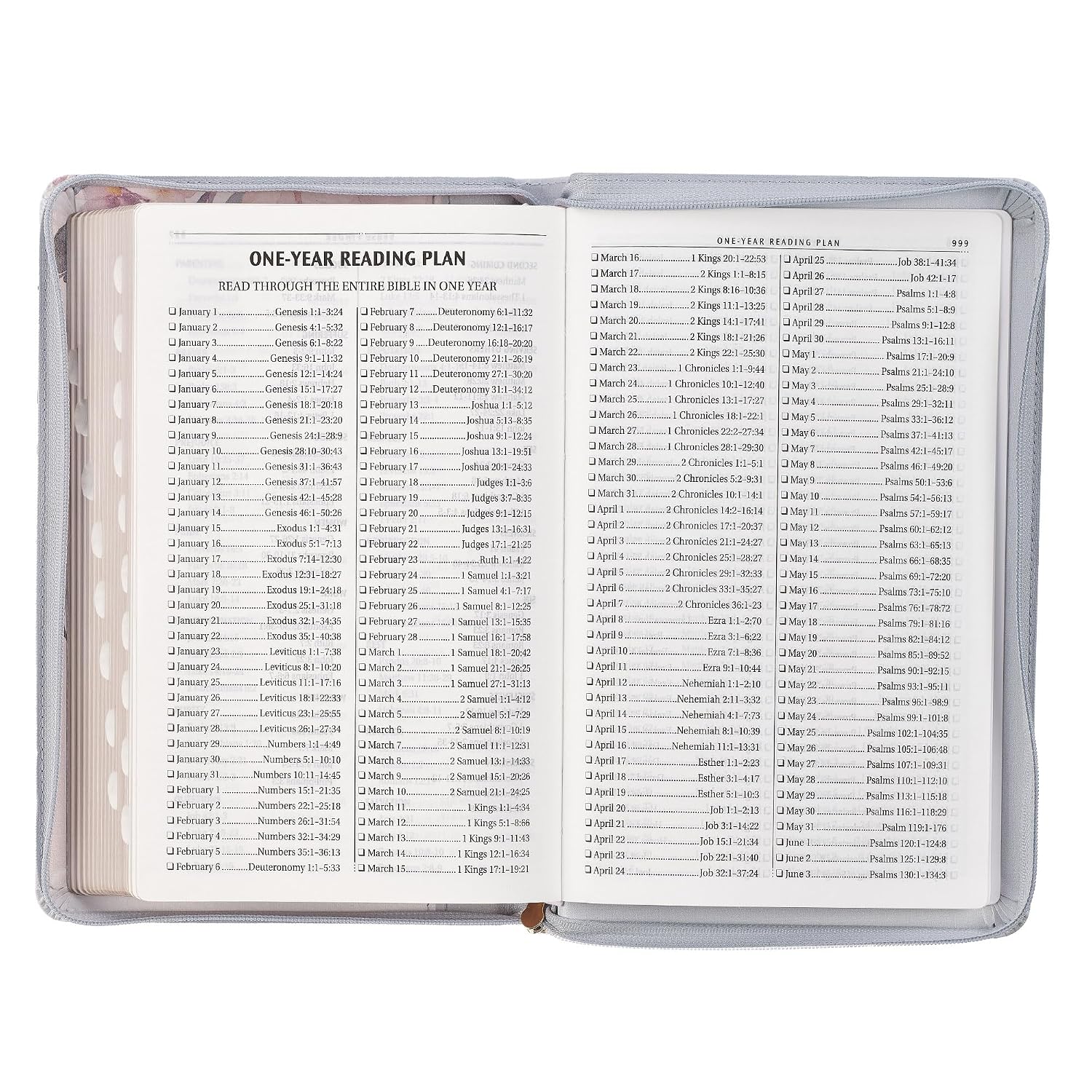 KJV Holy Bible, Deluxe Gift Bible with Thumb Tabs, Ribbon Marker, King James Version, Faux Leather, Frosty Gray and Pink Floral, Zipper Closure (KJV Deluxe Gift Editions)