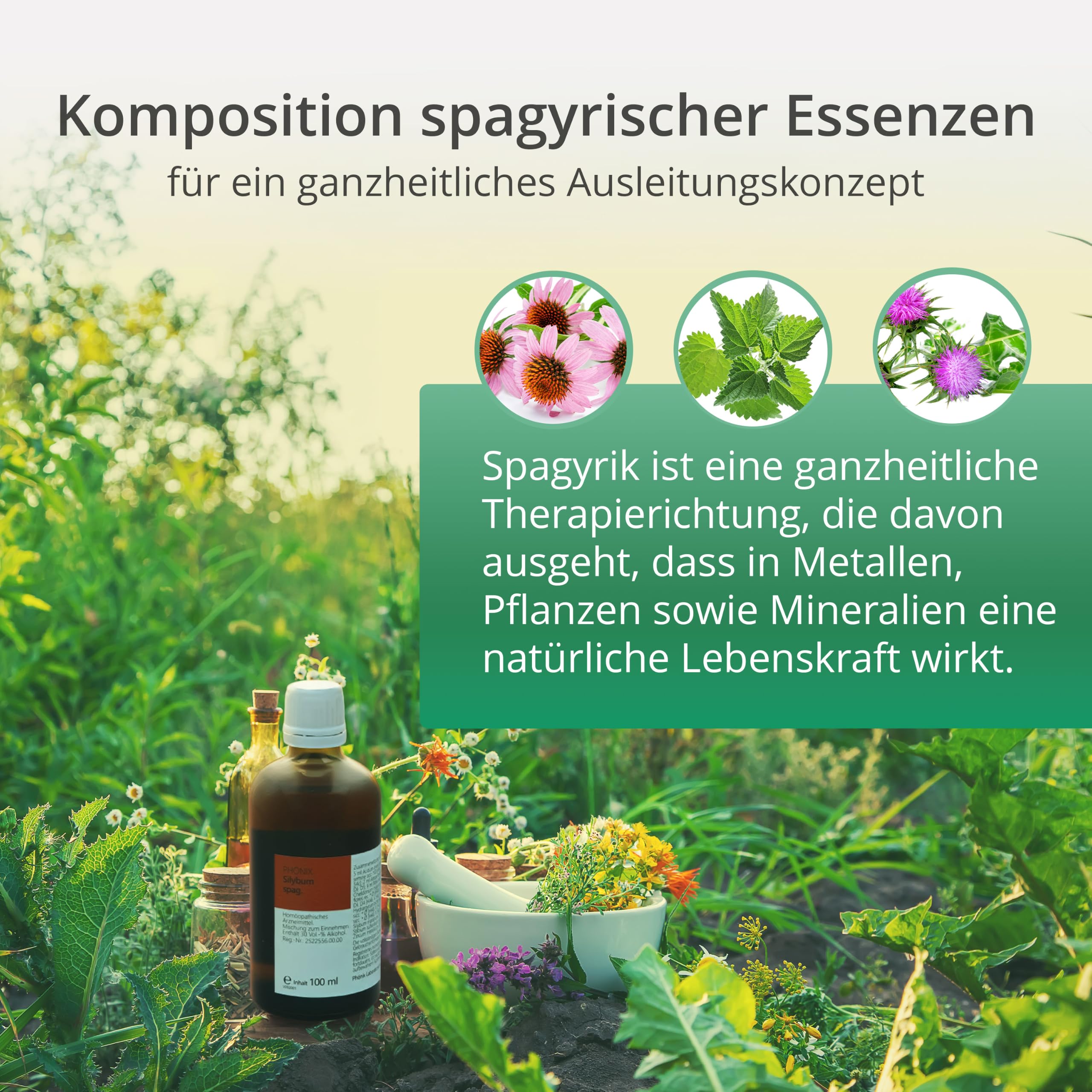 Phoenix Ausleitungskonzept Komplett-Set - für die bewährte Kur inkl. BOOKLET | Bewährte Kur, Inkl. Booklet