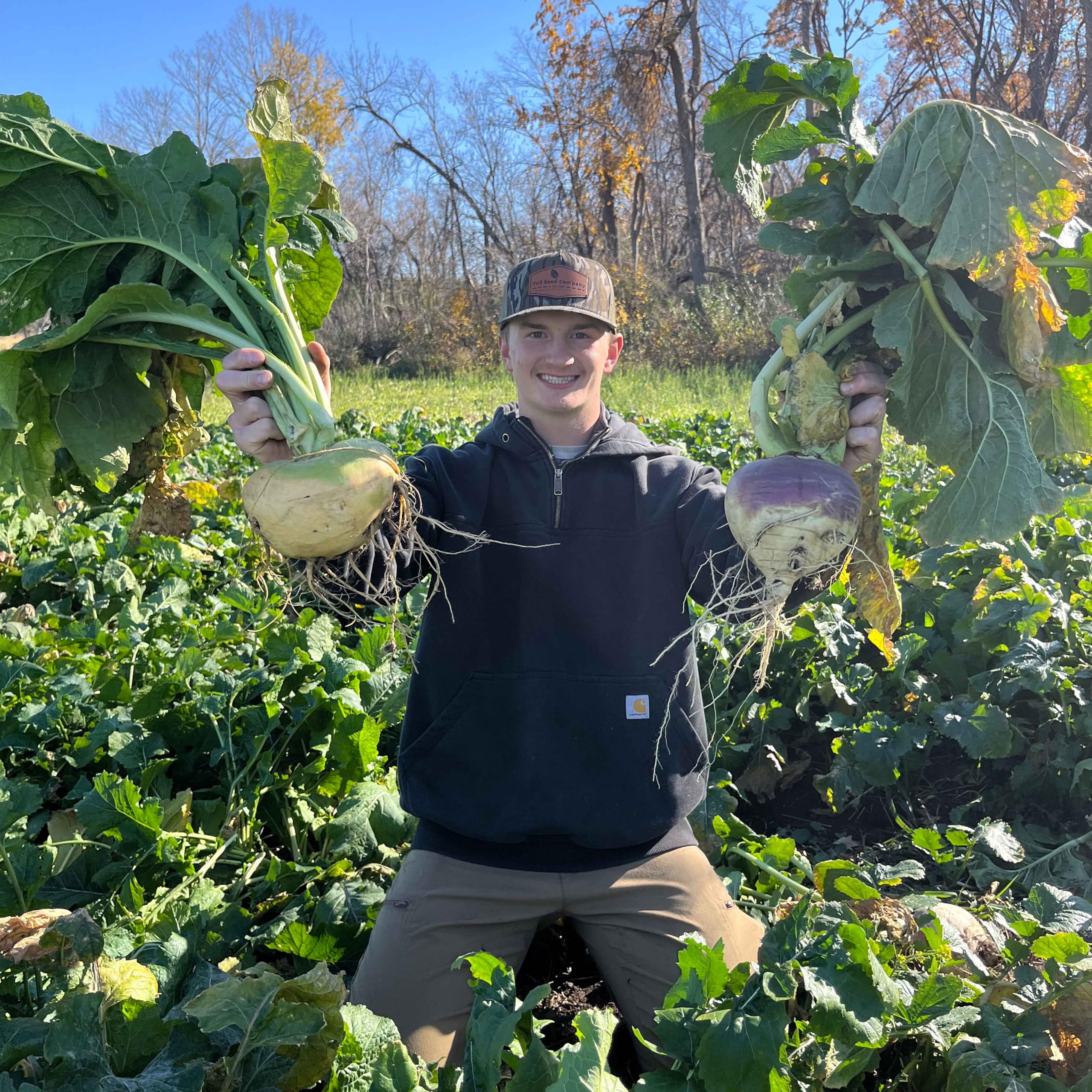 TnT Seed Company Purple Top Turnips, Food Plot Seed, 1 Acre (6 lb Bag), Brassica, Loaded with Nutrients and Protein, Easy to Plant and Maintain, Plant in Late Summer or Fall