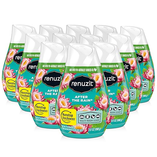 Renuzit Gel Air Freshener, After The Rain, 3 Pack, 4Count, 12 Total Air