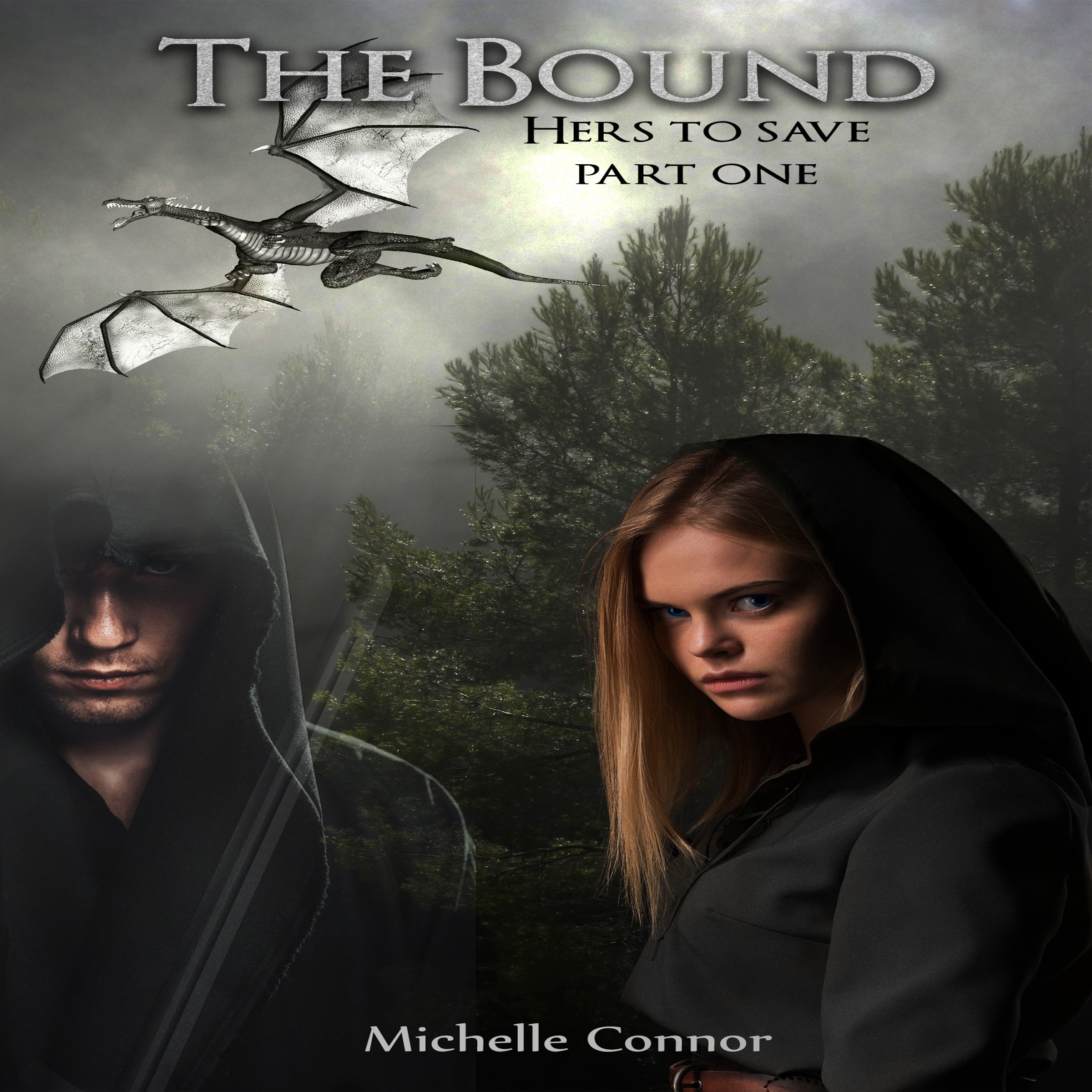 Cover art for The Bound