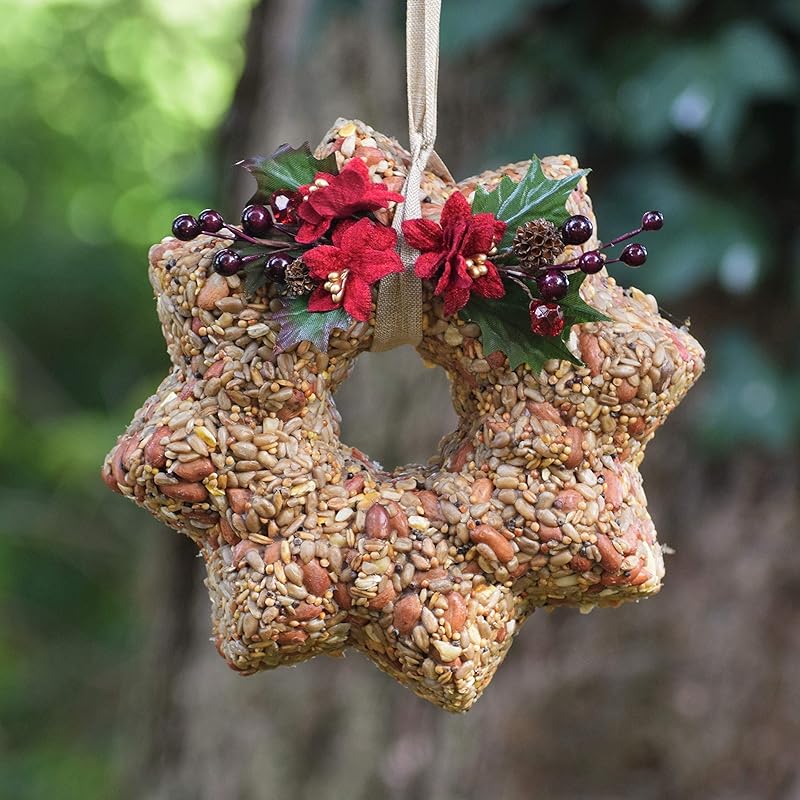 50 christmas gifts for women over 50 2022 • absolute christmas Bird Food Christmas Wreath with Poinsettias | Outdoor Wreath, Unique