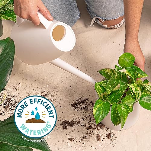 Miniatura 5 de Back to the Roots Mezcla para macetas de interior 100% orgánica (valor de 12 cuartos de galón)  Promueve el crecimiento saludable de las plantas de