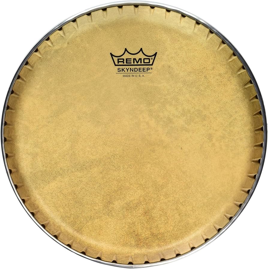 Amazon.co.jp: Remo Symmetry Skyndeep Conga Drumhead - Calfskin Amazon.co.jp: Remo Symmetry Skyndeep Conga Drumhead - Calfskin