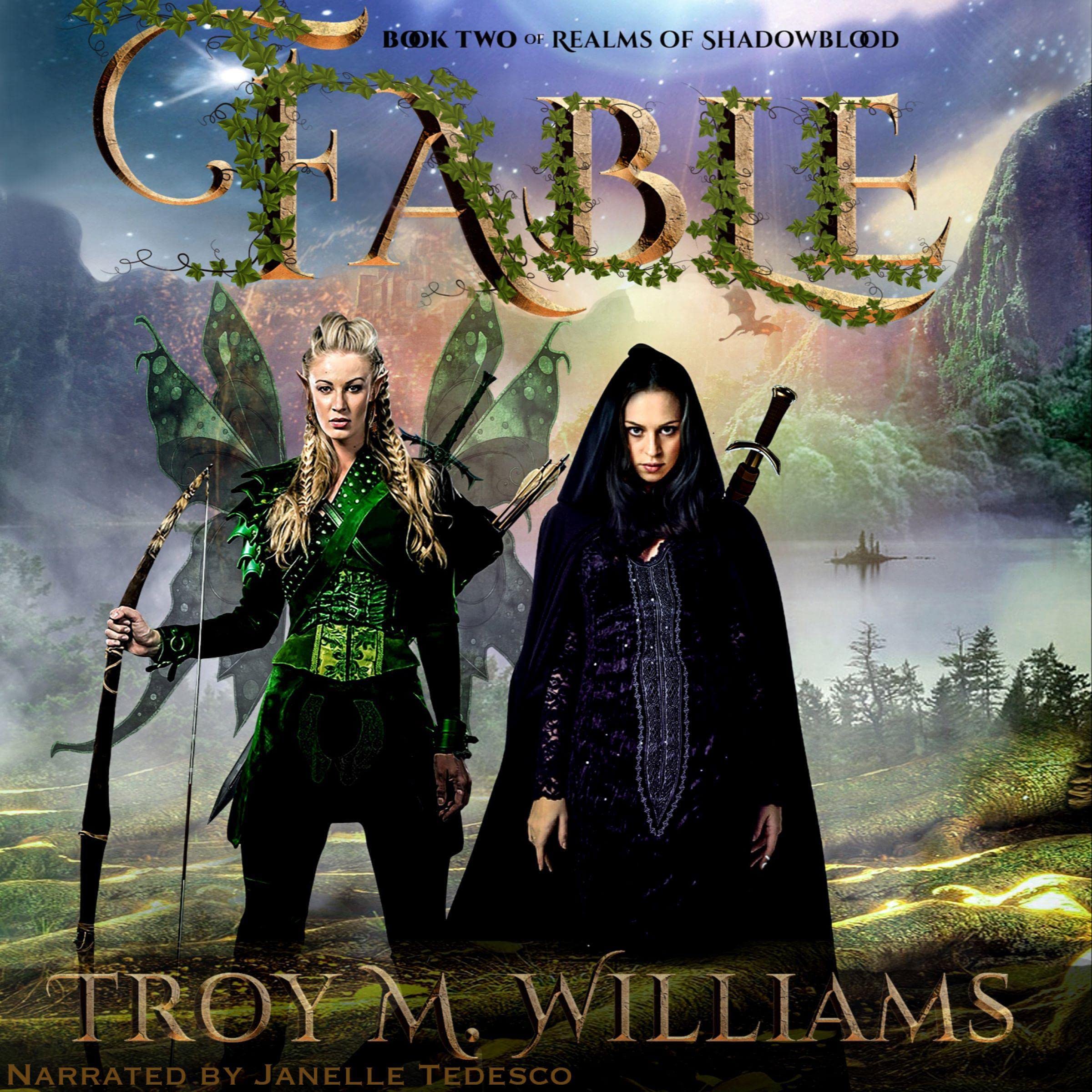 Cover art for Fable