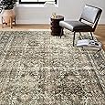 3x5 Area Rug Washable Vintage Neutral Entryway Living Room Carpet Indoor Office Non Slip Brown Entrance Distressed Low Pile Retro Accent Throw Rug for Dining Room Bathroom Bedroom Laundry