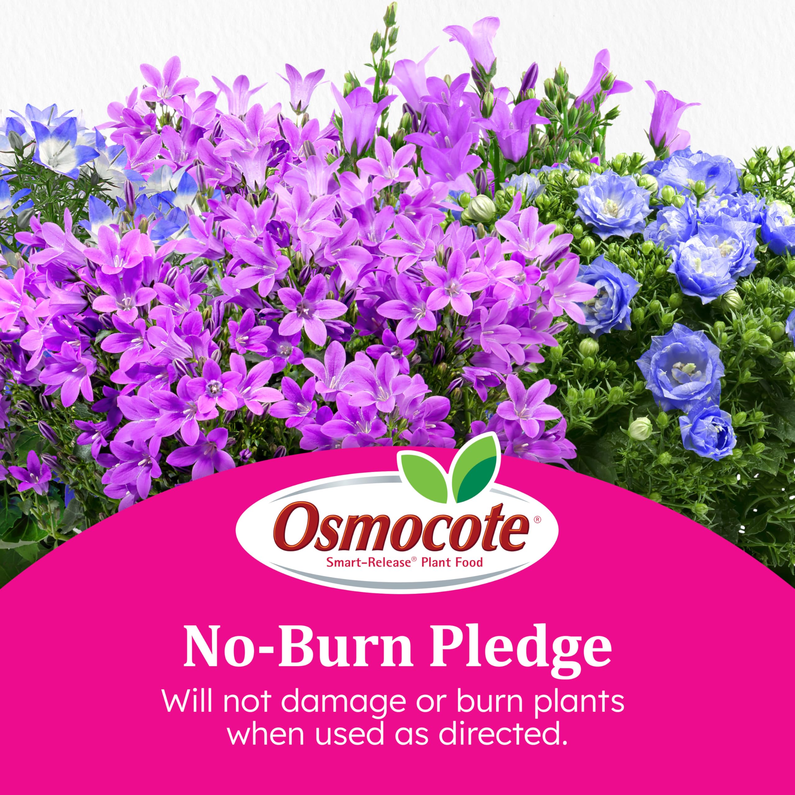 Osmocote Smart-Release Plant Food Plus - Fertilizante granular para exteriores e interiores, con 11 nutrientes esenciales, 2 libras. | Fertilizante granular de liberación continua para plantas con 11 nutrientes esenciales
