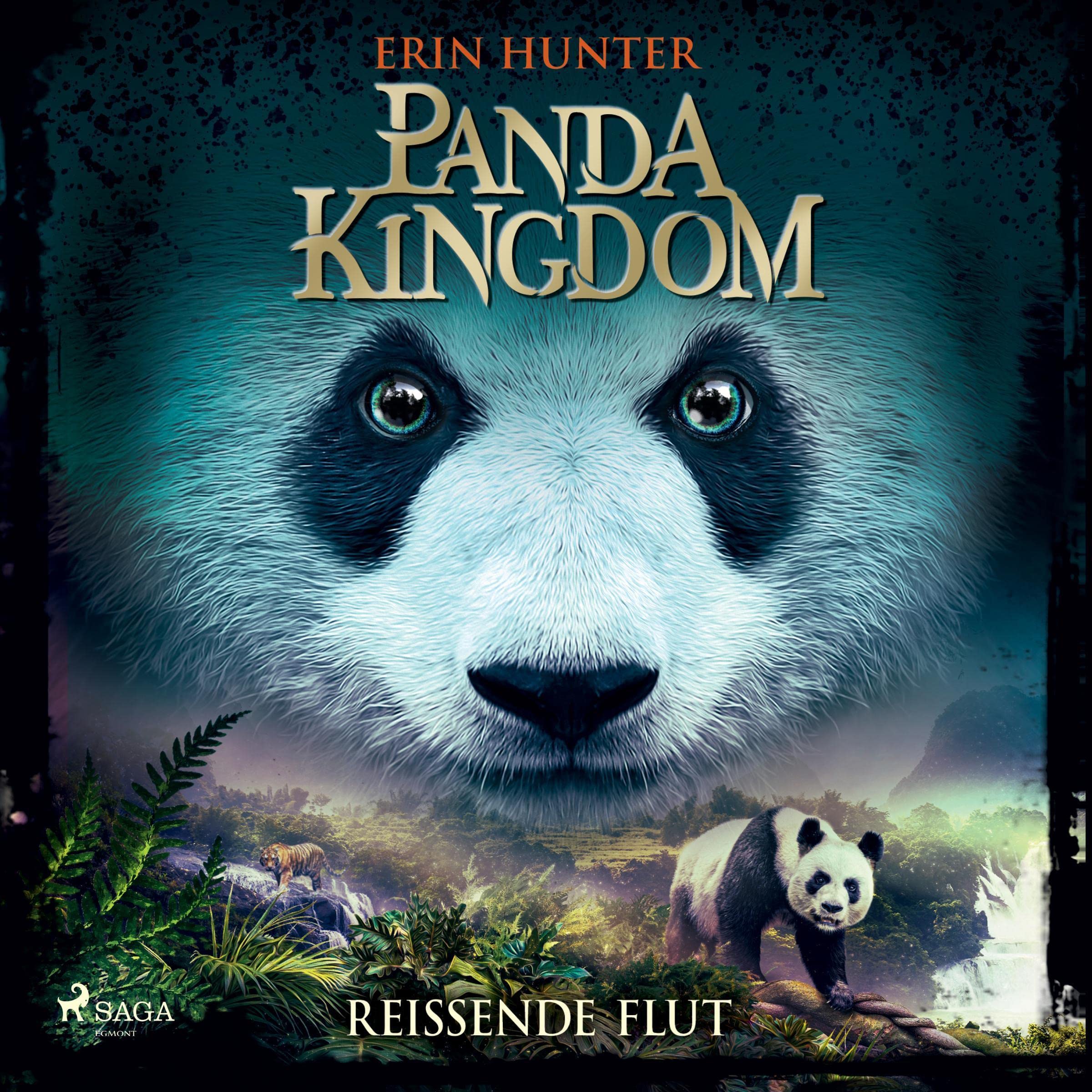Cover art for Panda Kingdom - Reißende Flut